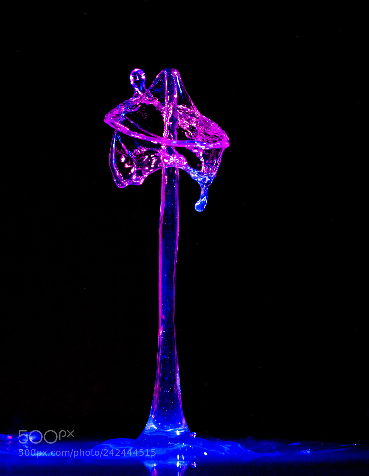 Olympus OM-D E-M1 Mark II sample photo. Standing tall photography