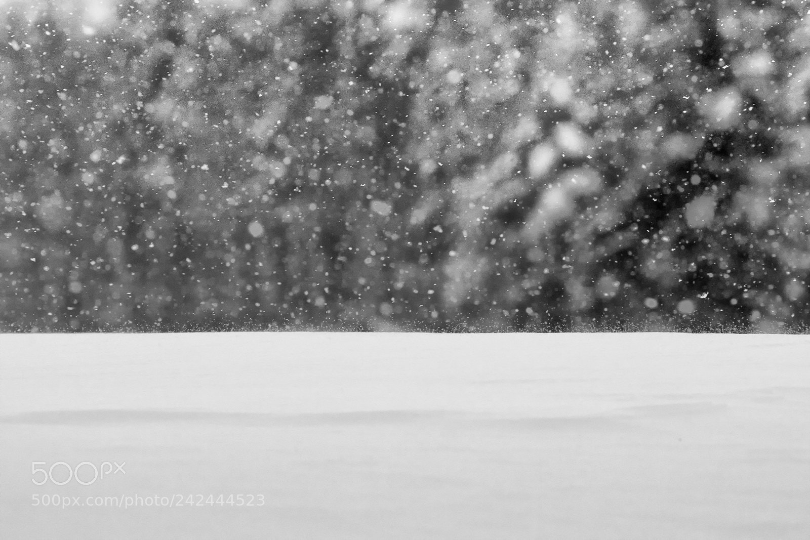 Canon EOS 50D sample photo. Snow photography