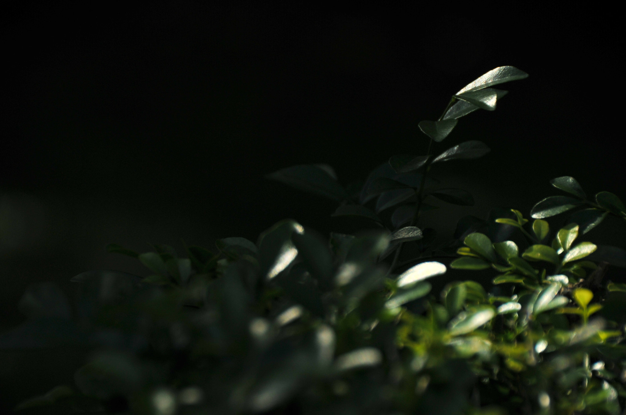 Nikon D3S sample photo. .. photography