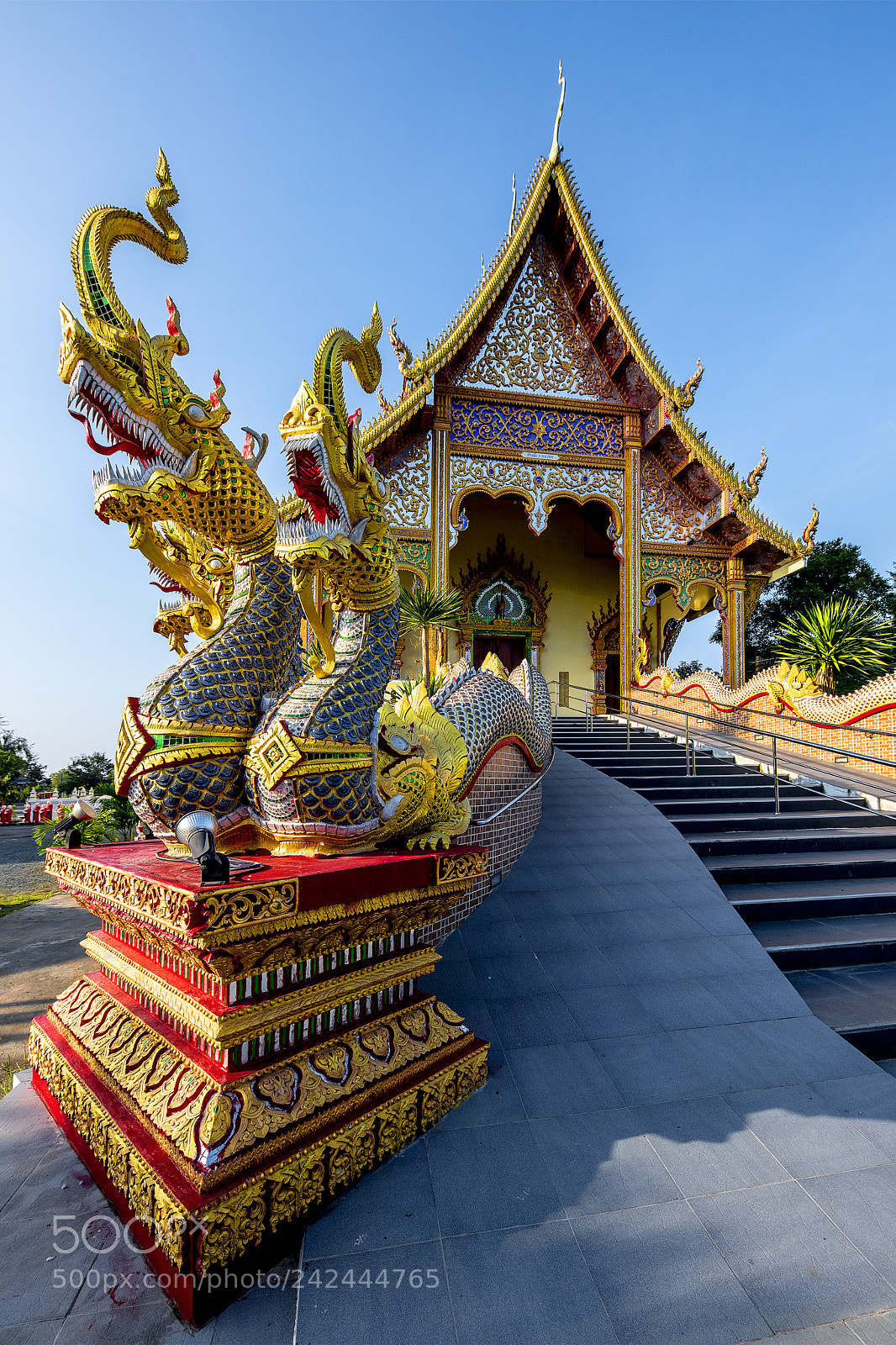 Nikon D850 sample photo. Wat suwan chimplee photography