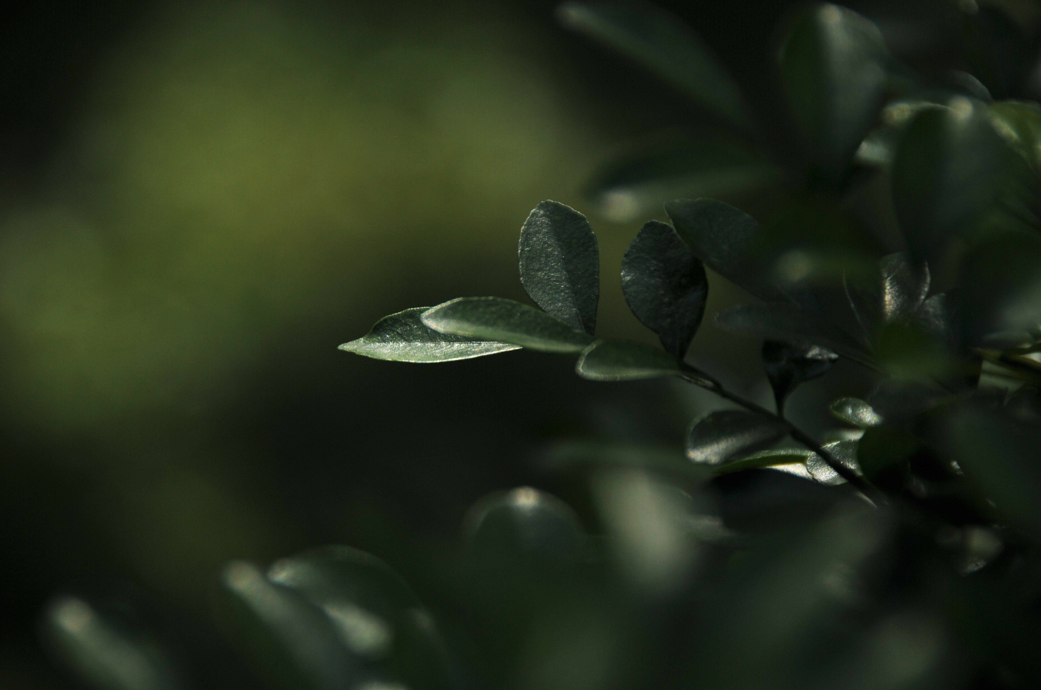 Nikon D3S sample photo. .. photography