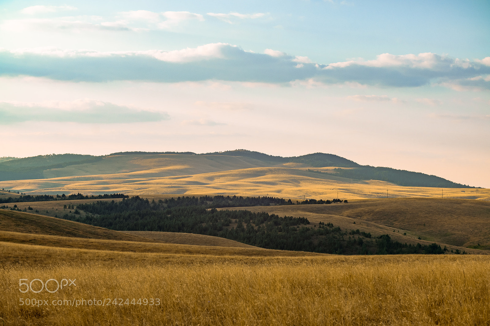 Sony Alpha a5000 (ILCE 5000) sample photo. Mountain landscape with wheat photography