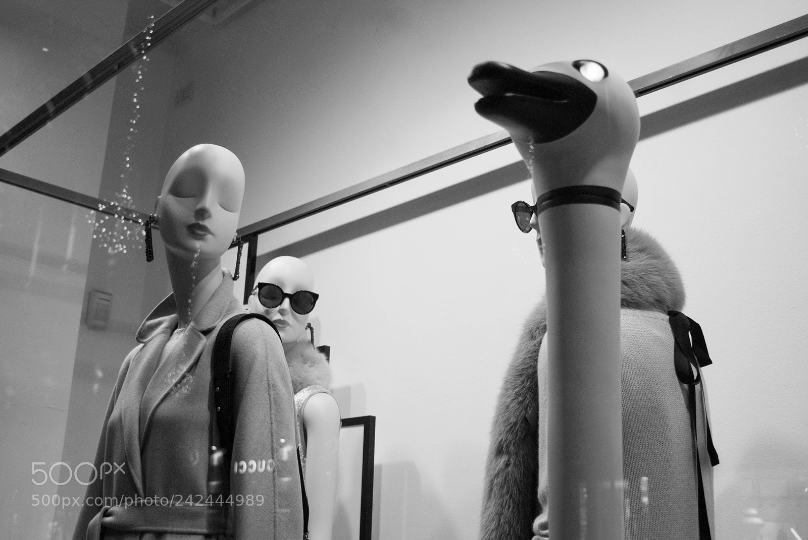 Sony Alpha DSLR-A200 sample photo. Showcase photography