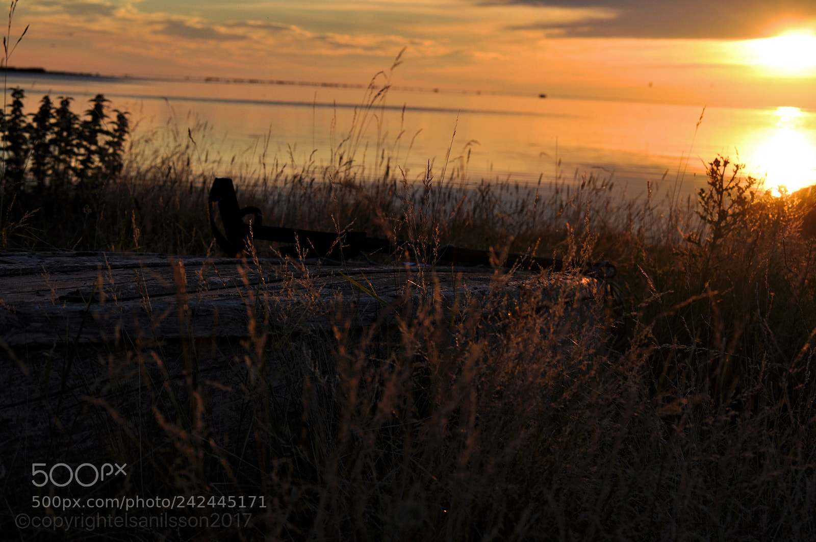 Nikon D5000 sample photo. A magical summernight photography