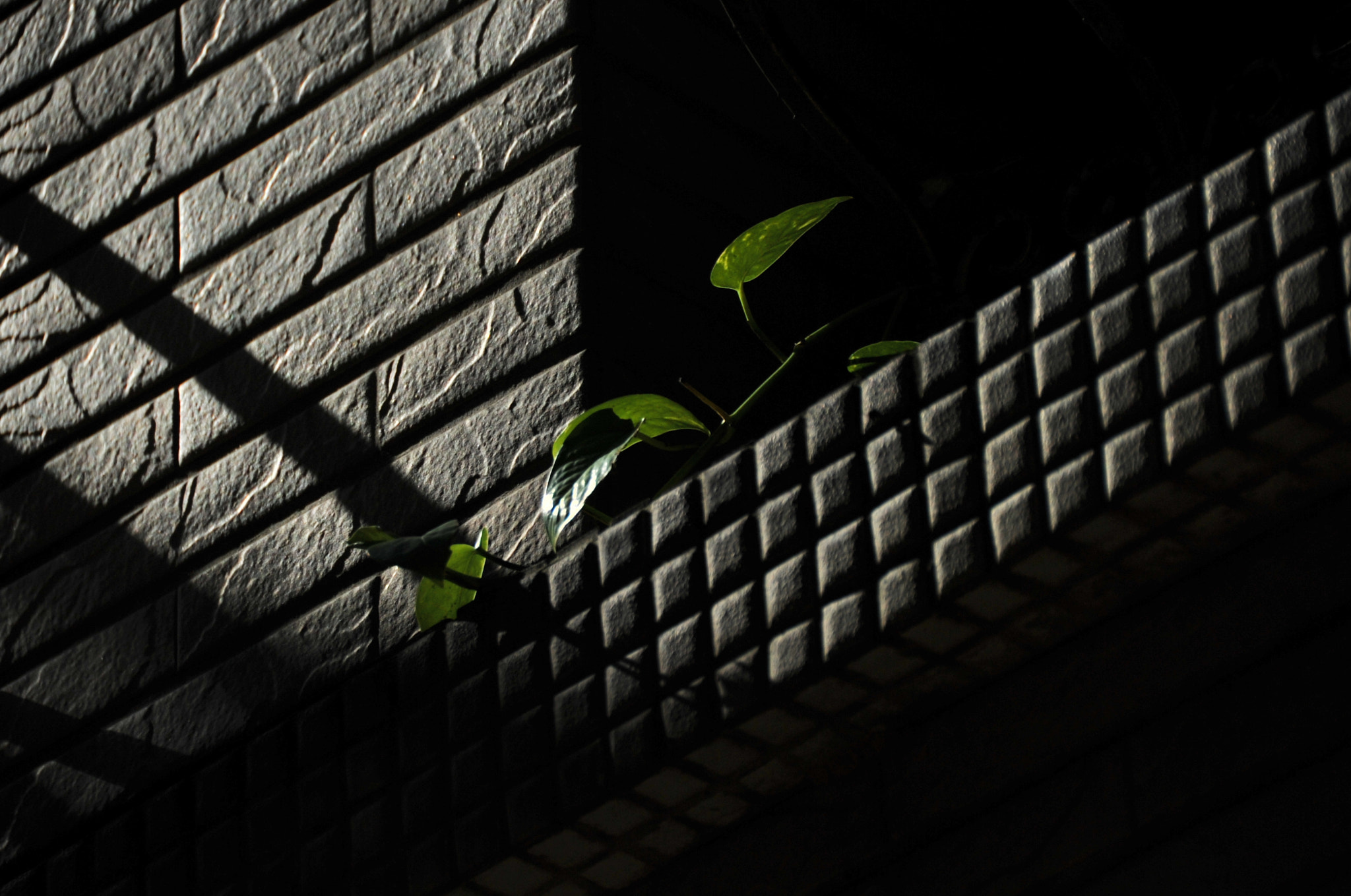 Nikon D3S sample photo. .. photography