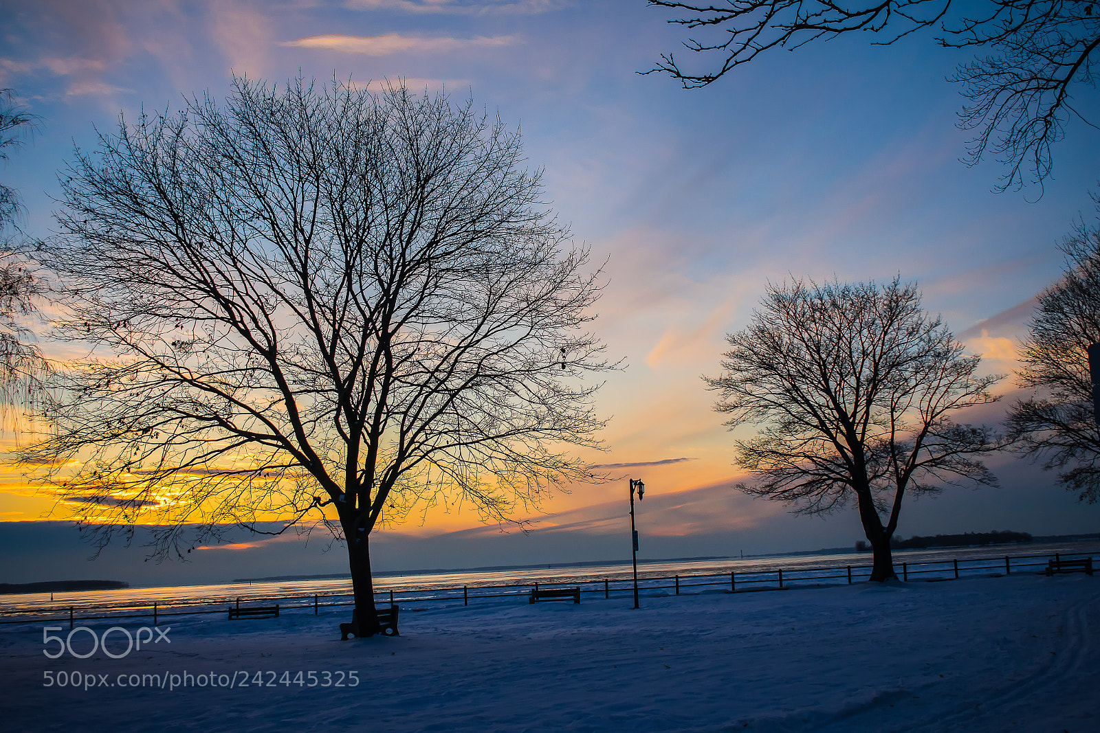 Nikon D3400 sample photo. Tree snow sky photography