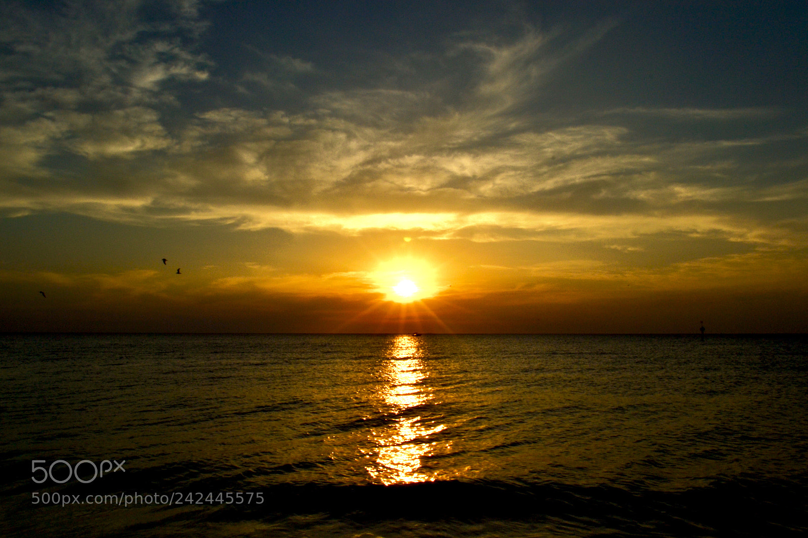 Nikon D3100 sample photo. Beautiful australian beach sunset photography
