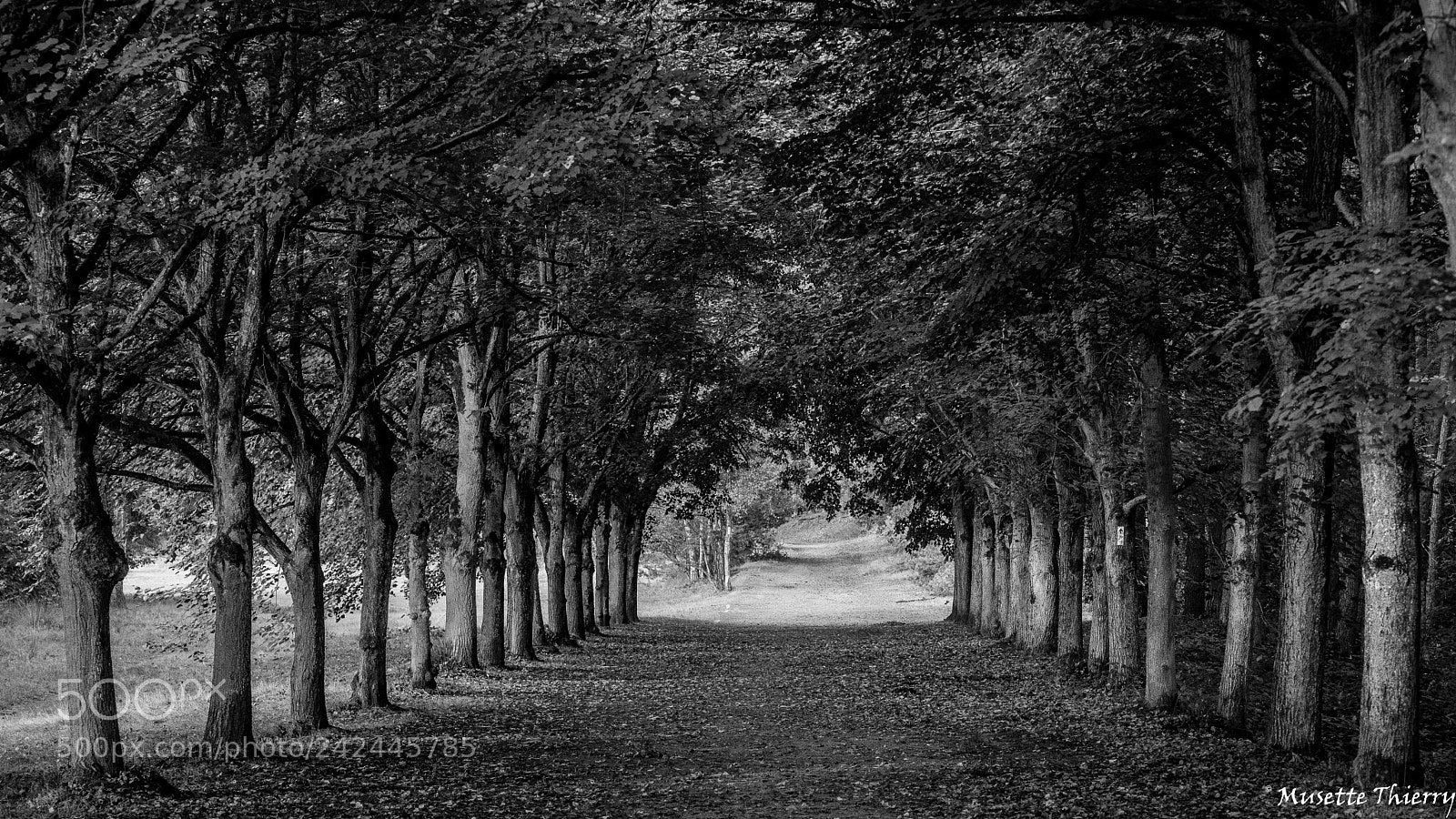 Nikon D600 sample photo. Oublions les couleurs photography
