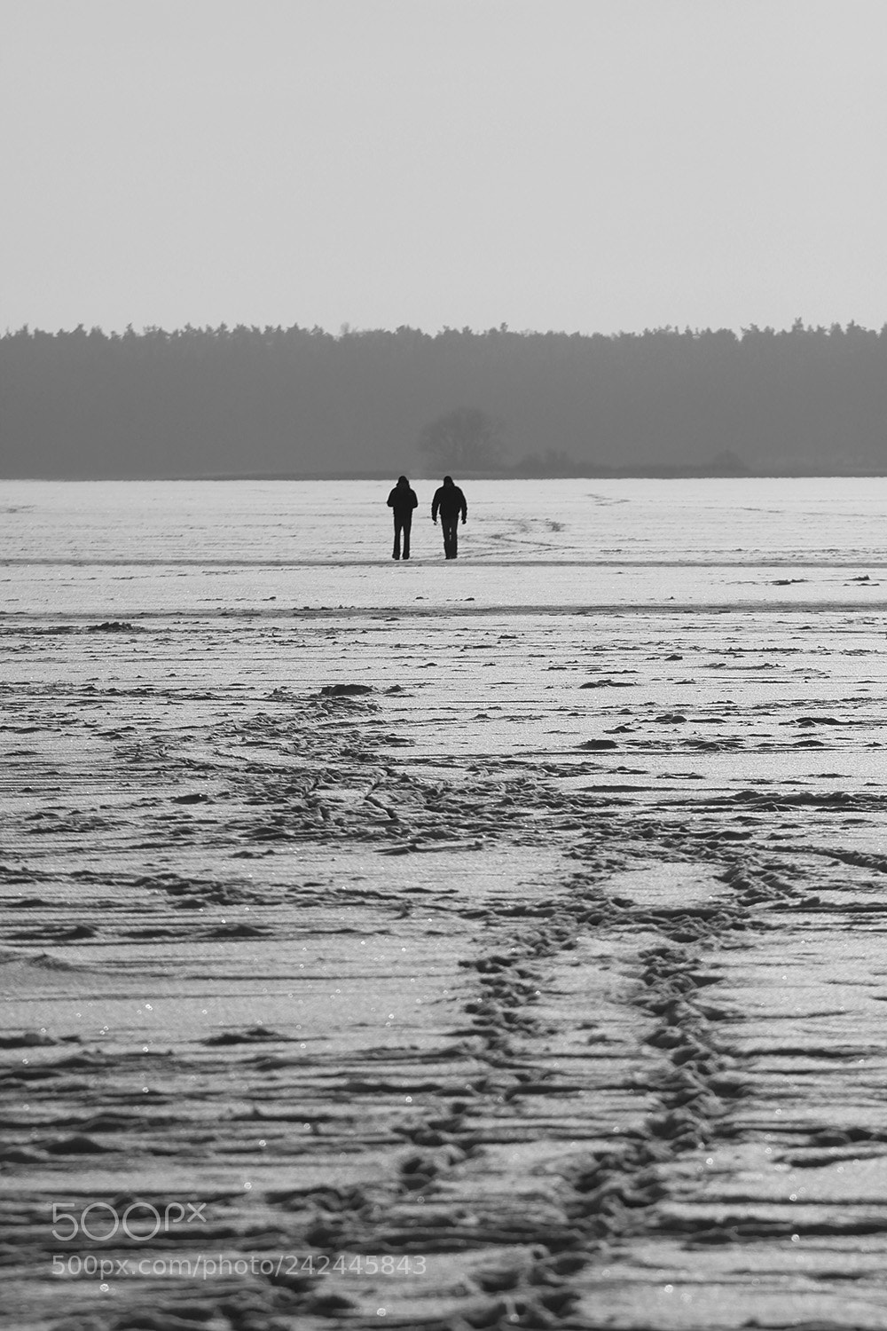 Canon EOS 50D sample photo. Winter walk. photography