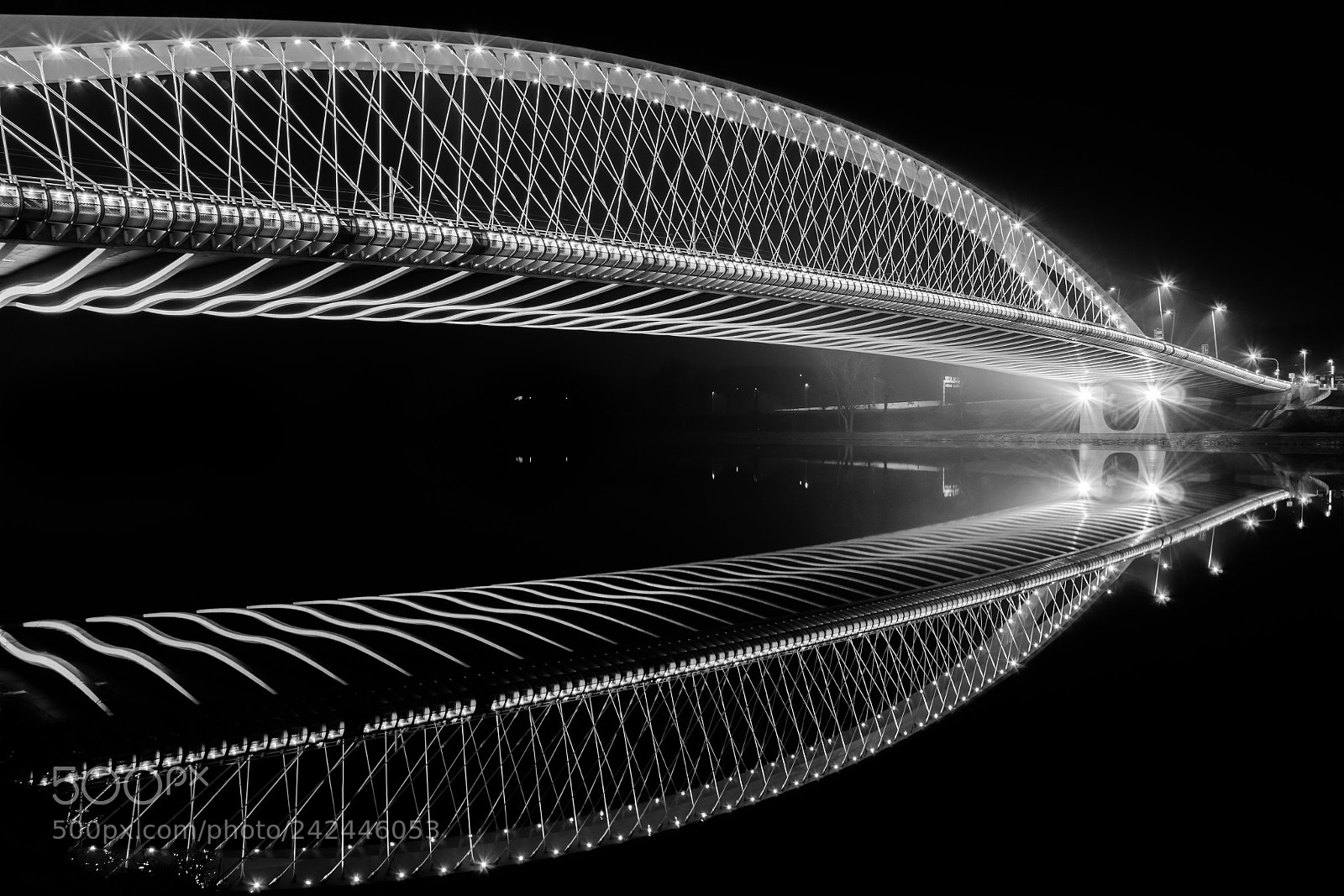 Nikon D5100 sample photo. Mirroring of the trojan photography