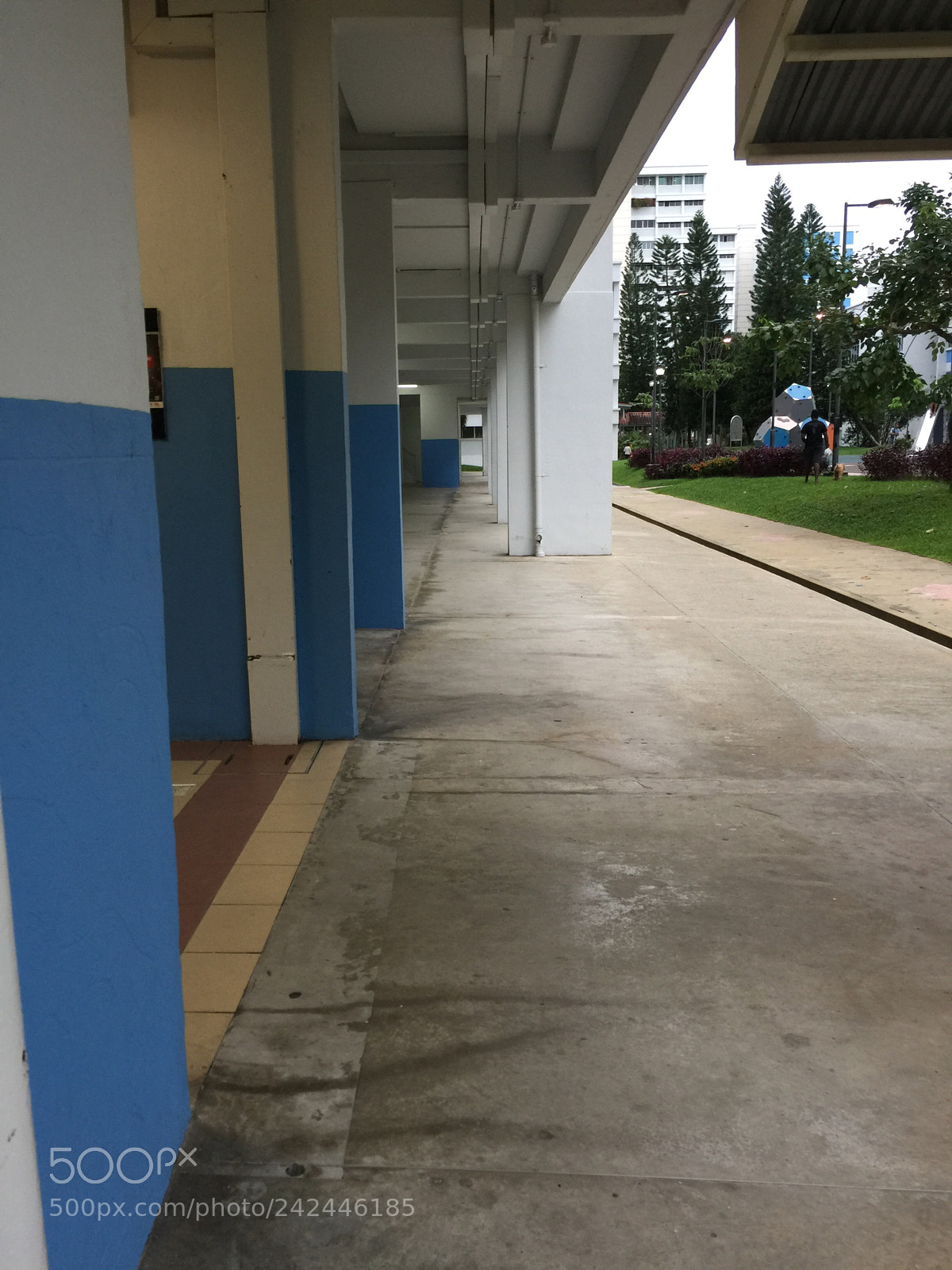 Apple iPhone 6 Plus sample photo. Untitled photography