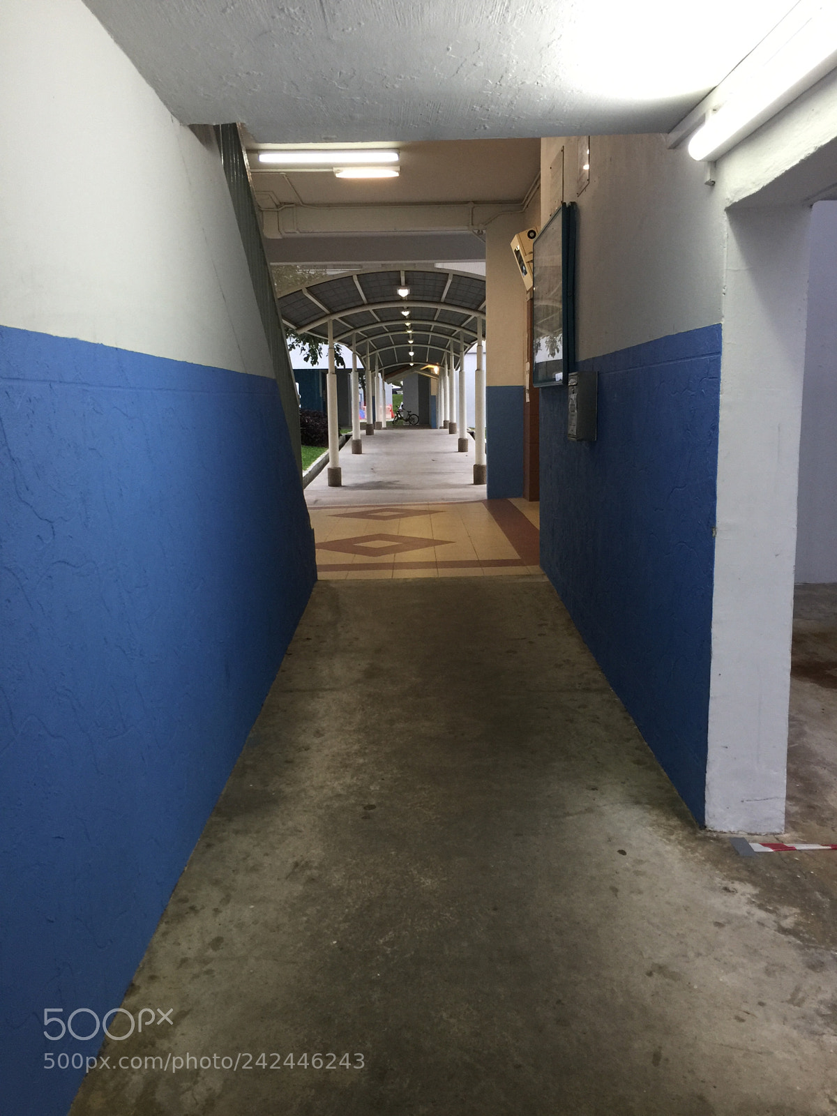 Apple iPhone 6 Plus sample photo. Untitled photography