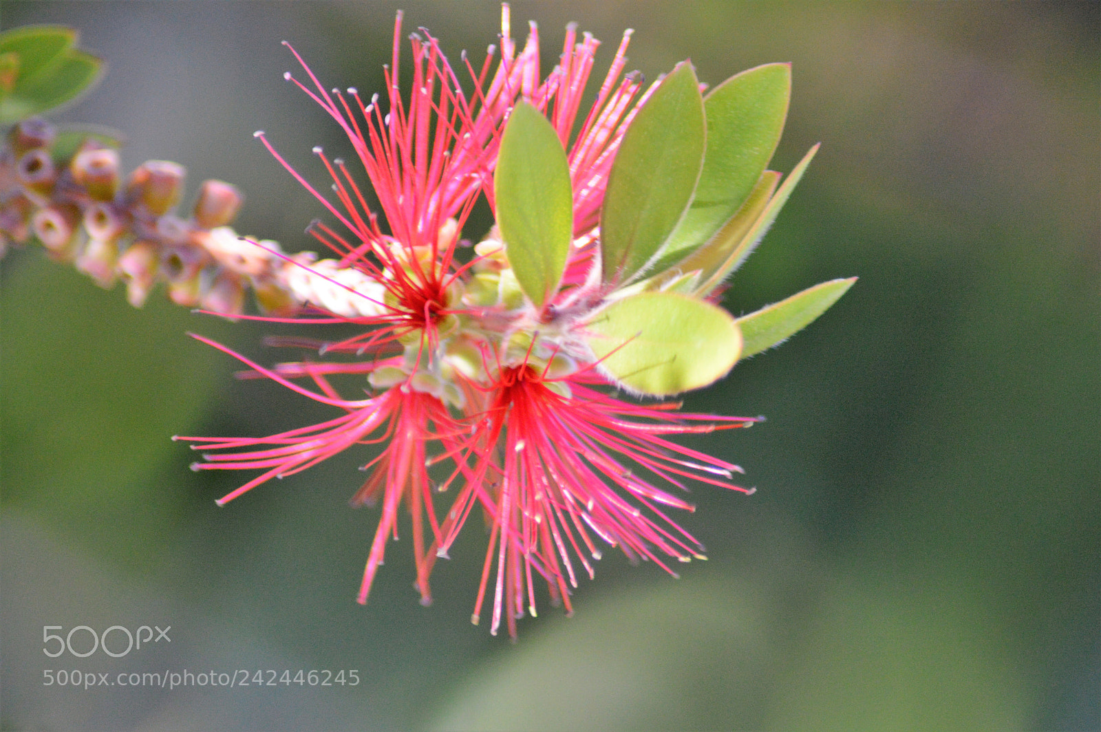 Nikon D3200 sample photo. () photography