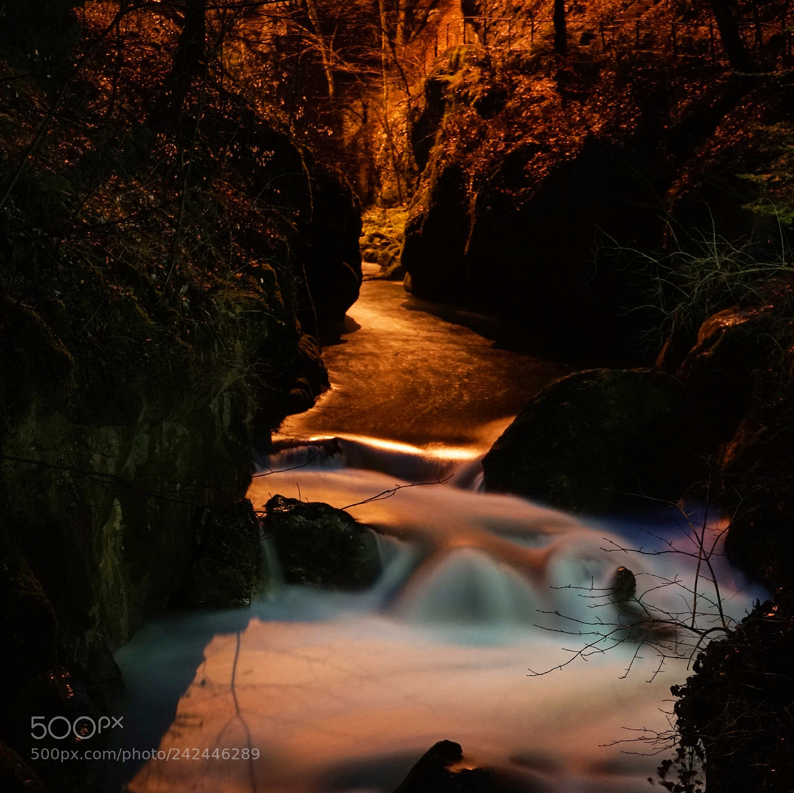 Sony a7 II sample photo. The golden river photography