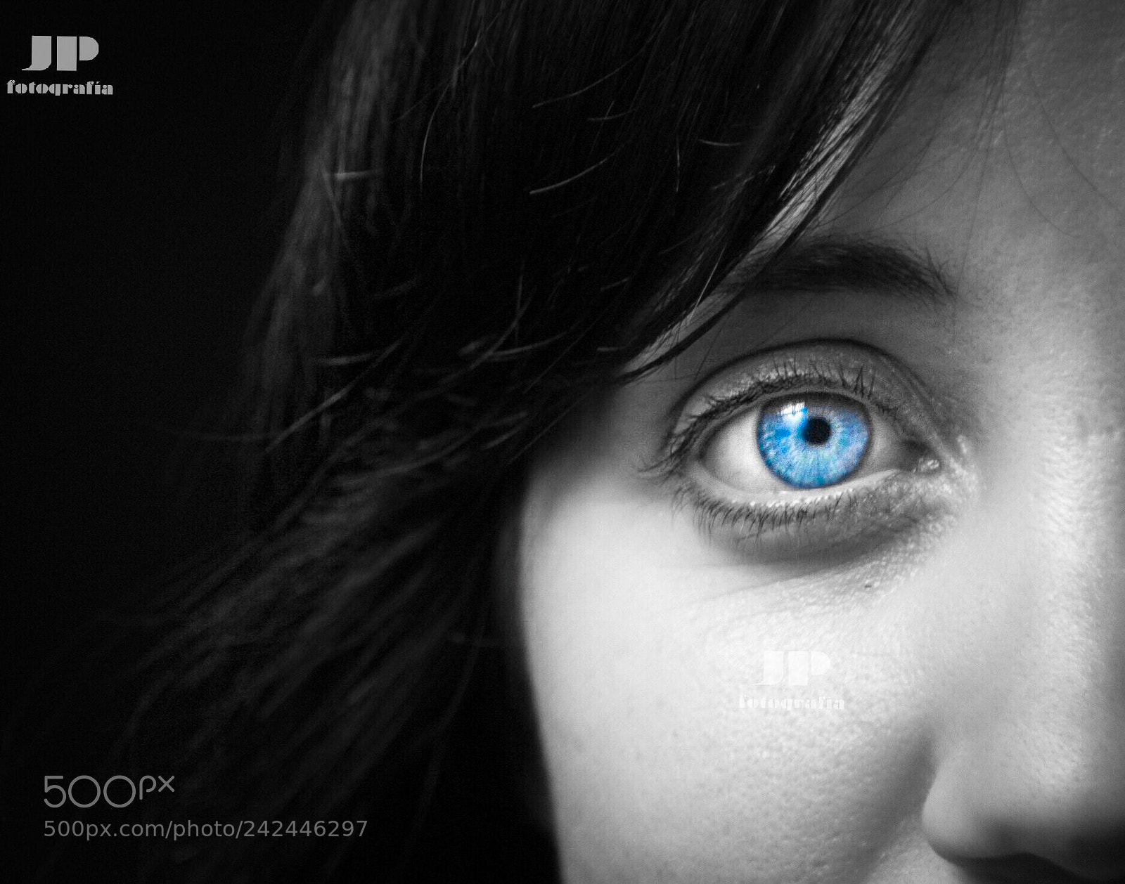 Nikon D5000 sample photo. Blue eye photography