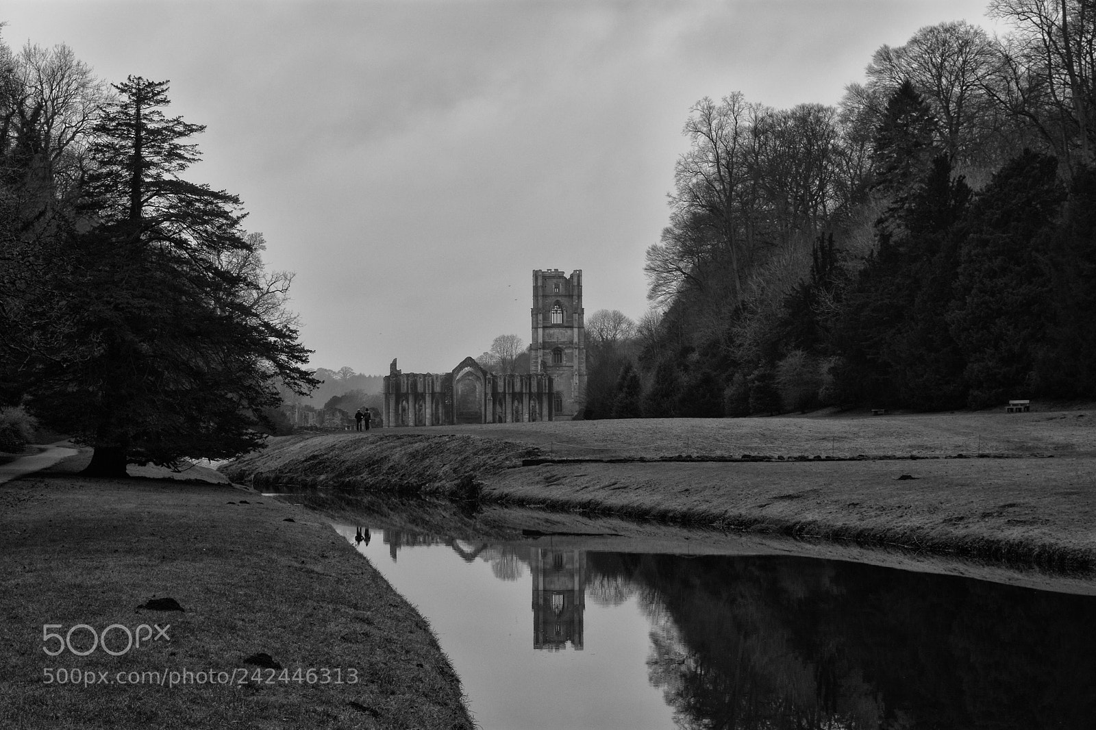 Nikon D7200 sample photo. Fountains abbey photography