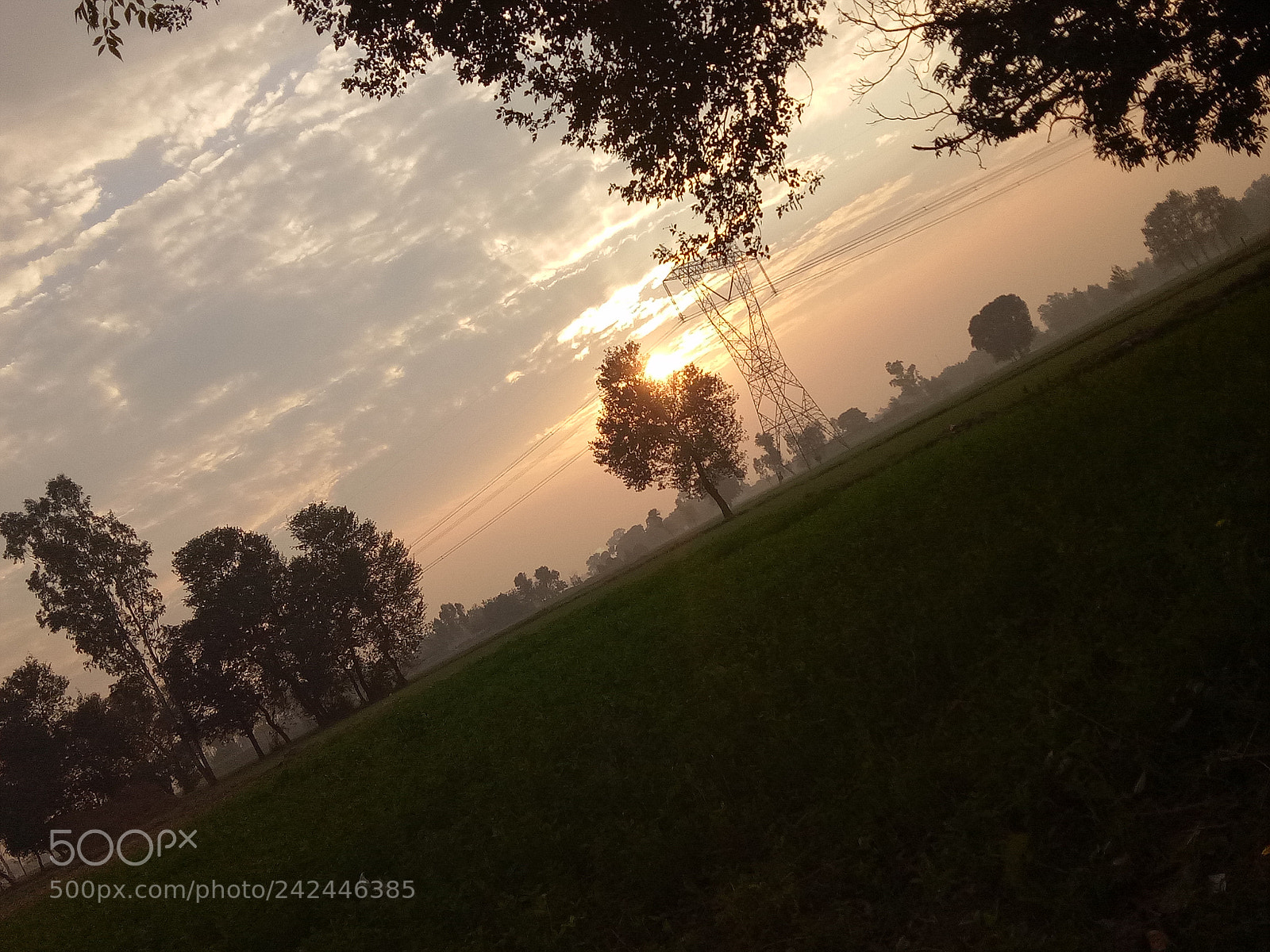 OPPO A1601 sample photo. Untitled photography