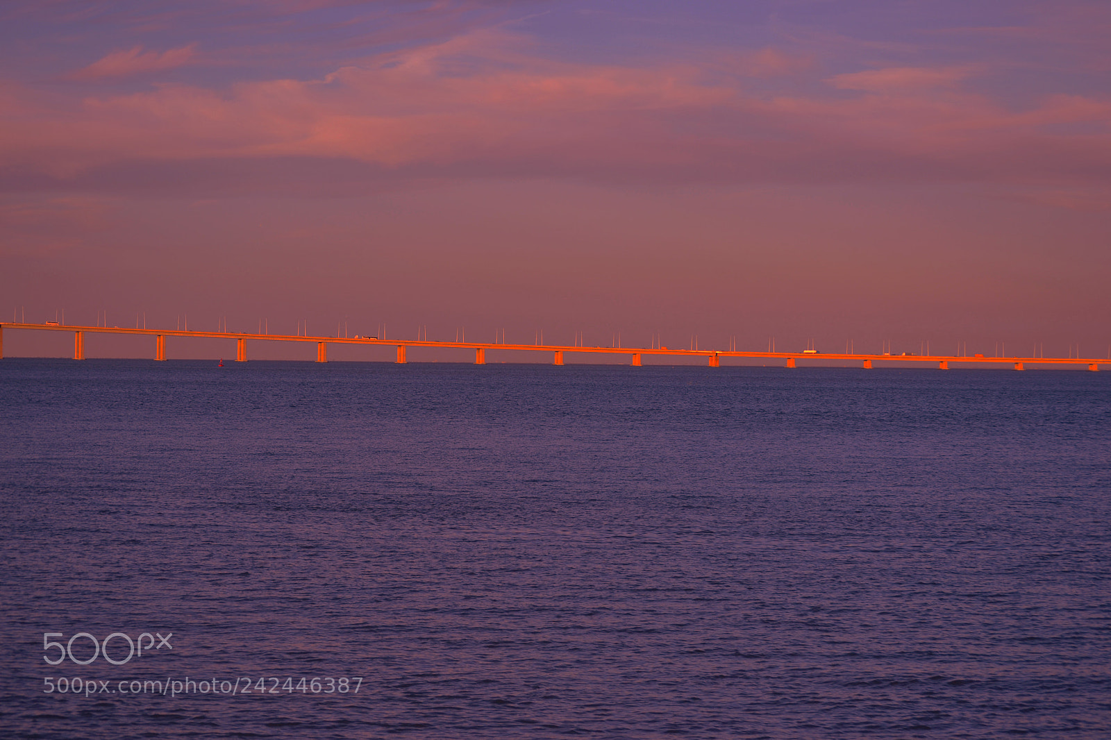 Nikon D3100 sample photo. Ponte vasco da gama photography
