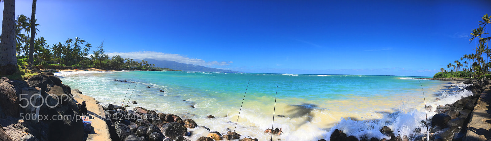 Apple iPhone 6s sample photo. Sugar cove photography