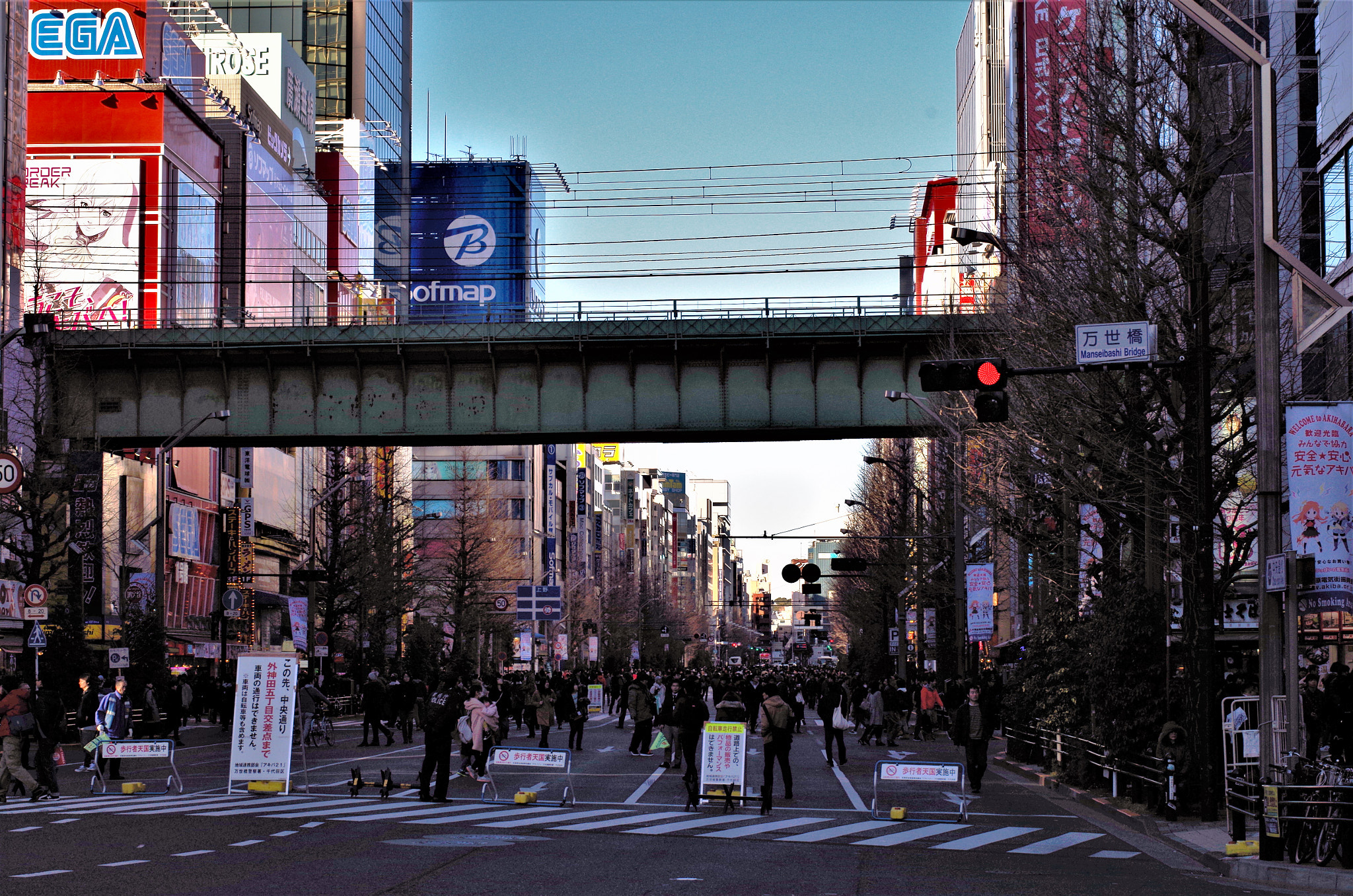 Pentax K-30 sample photo. 歩行者天国(秋葉原) photography