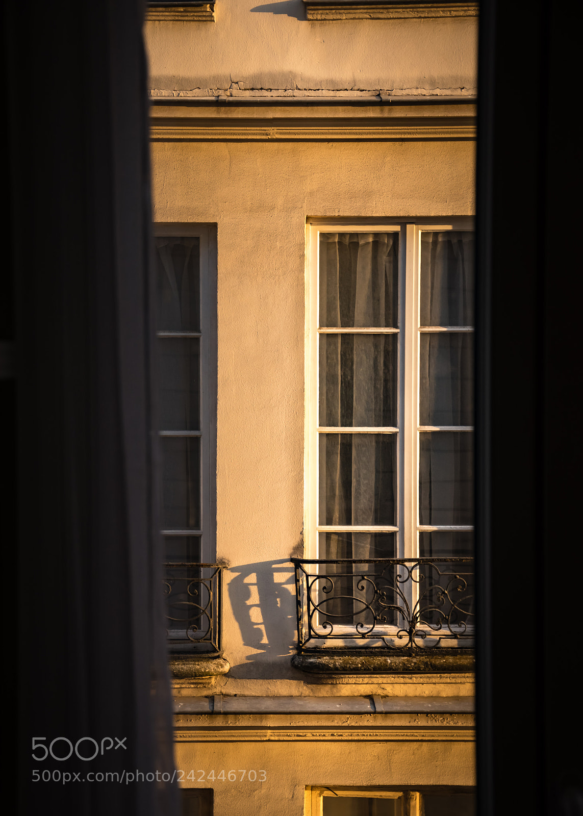 Nikon D5500 sample photo. Peeking out the window photography