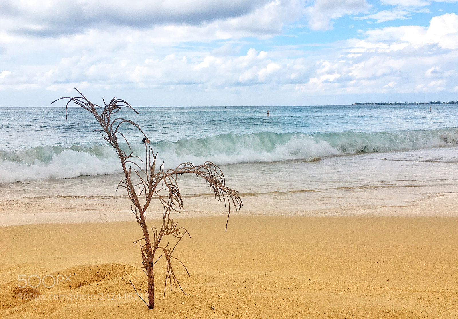 Apple iPhone 6s sample photo. 7 mile beach. d. photography