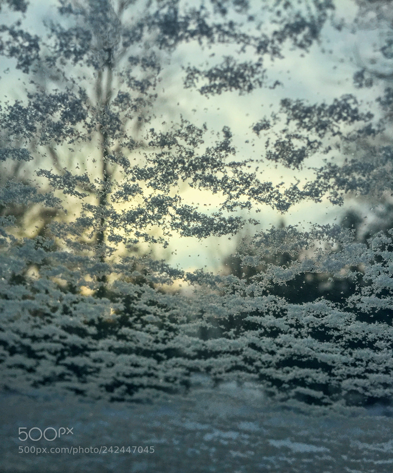Apple iPhone 6 sample photo. Img recovered photography