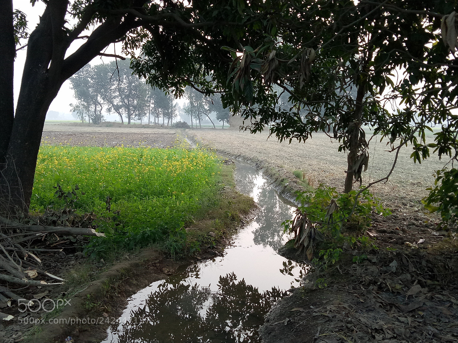 OPPO A1601 sample photo. Untitled photography