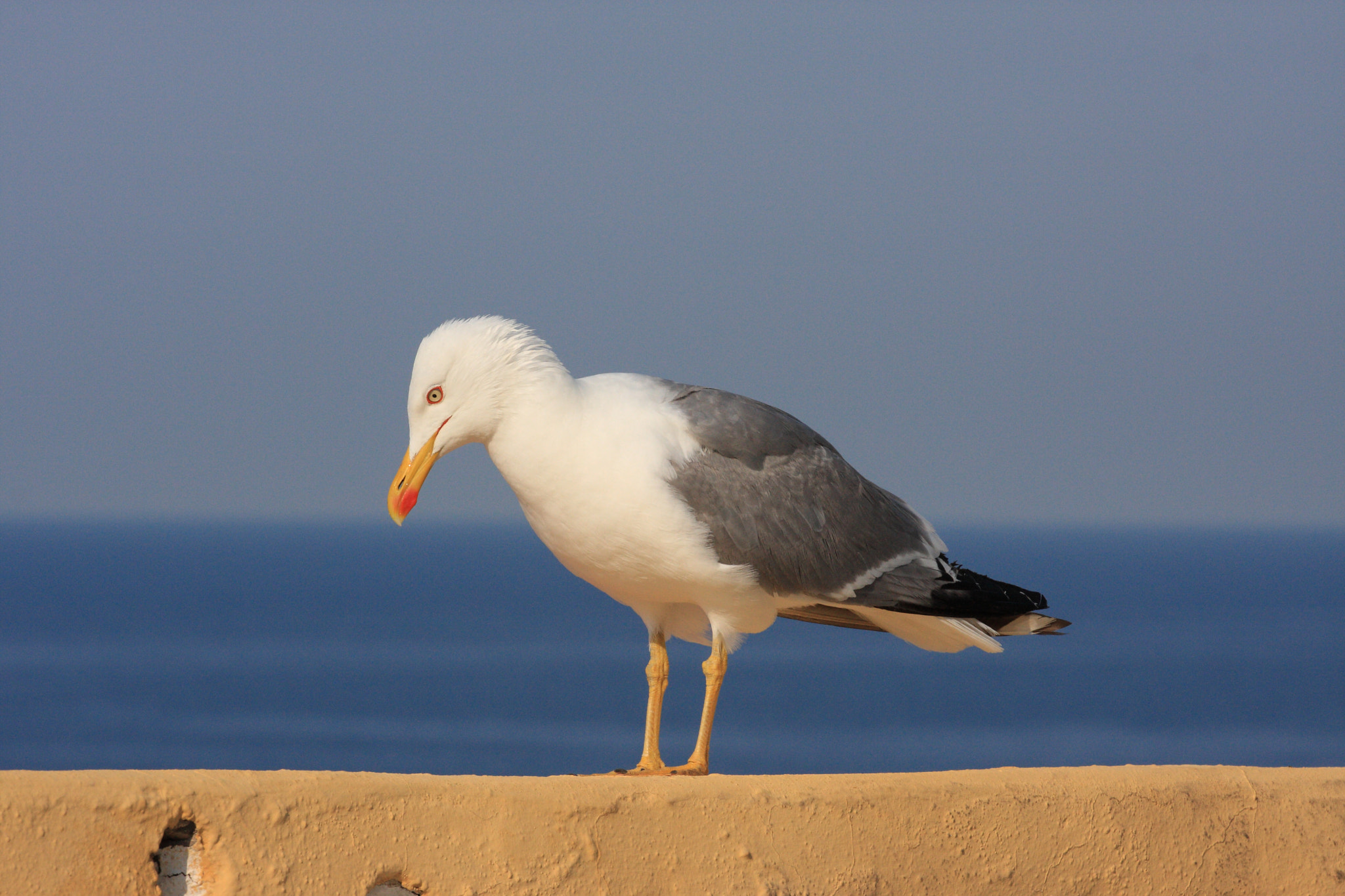 Canon EF 70-200mm F4L USM sample photo. On the edge photography