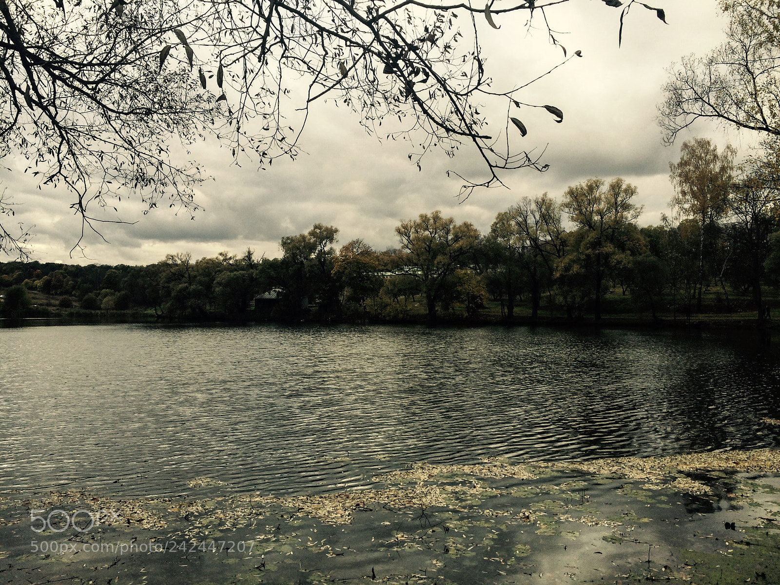 Apple iPhone 5s sample photo. Yasnaya polyana l. tolstoy's photography