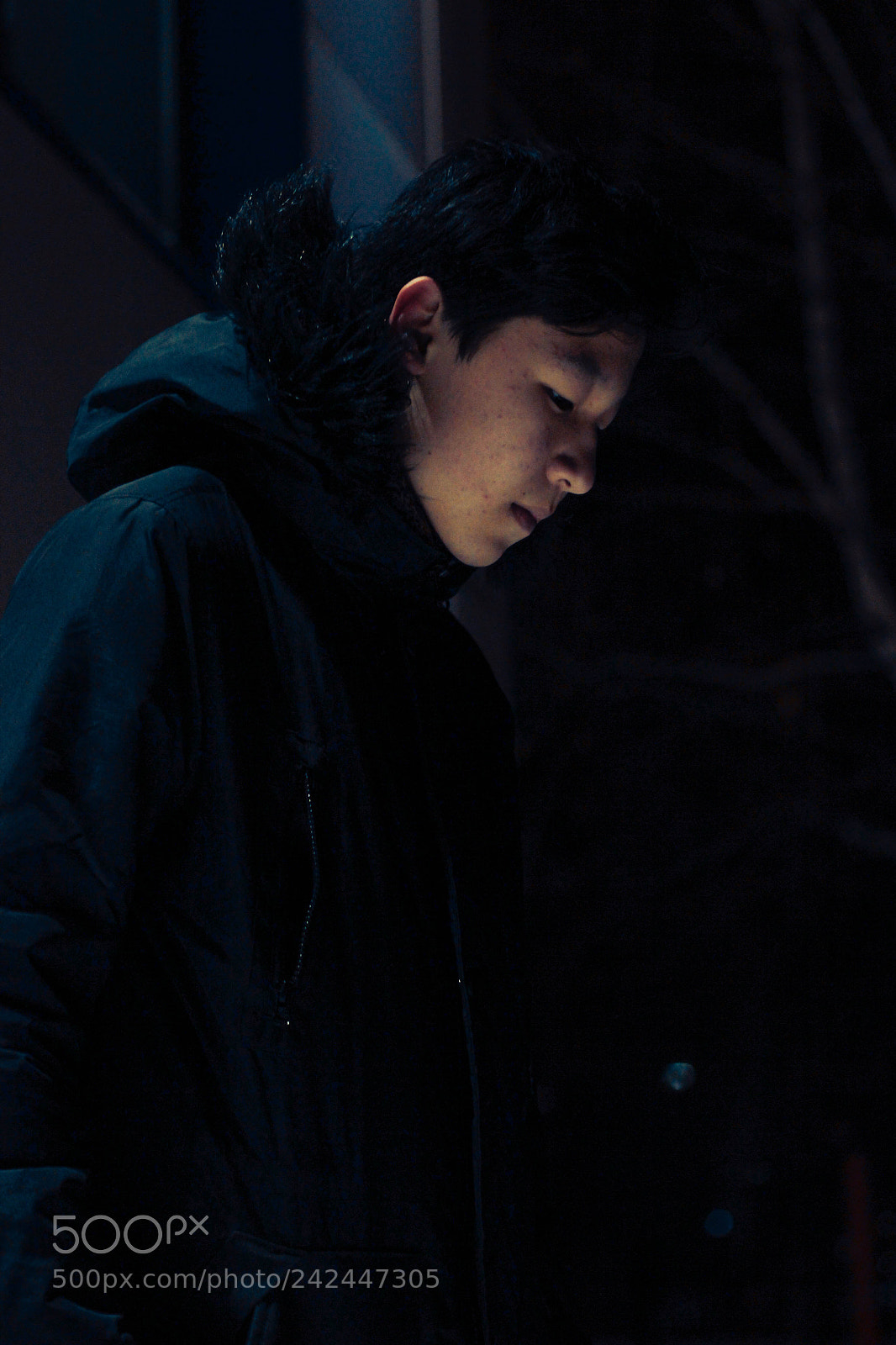 Canon EOS 550D (EOS Rebel T2i / EOS Kiss X4) sample photo. Winter sadness photography