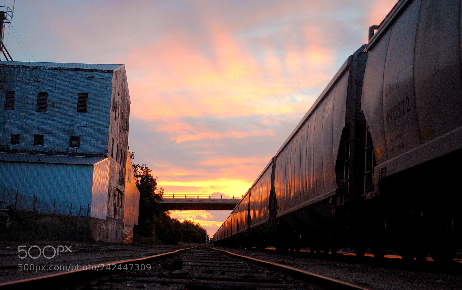 Nikon D3000 sample photo. Train sunset 2 photography