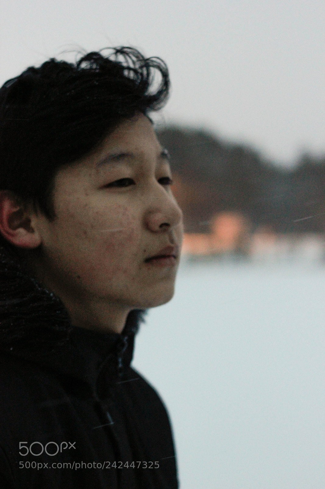Canon EOS 550D (EOS Rebel T2i / EOS Kiss X4) sample photo. Winter sadness photography