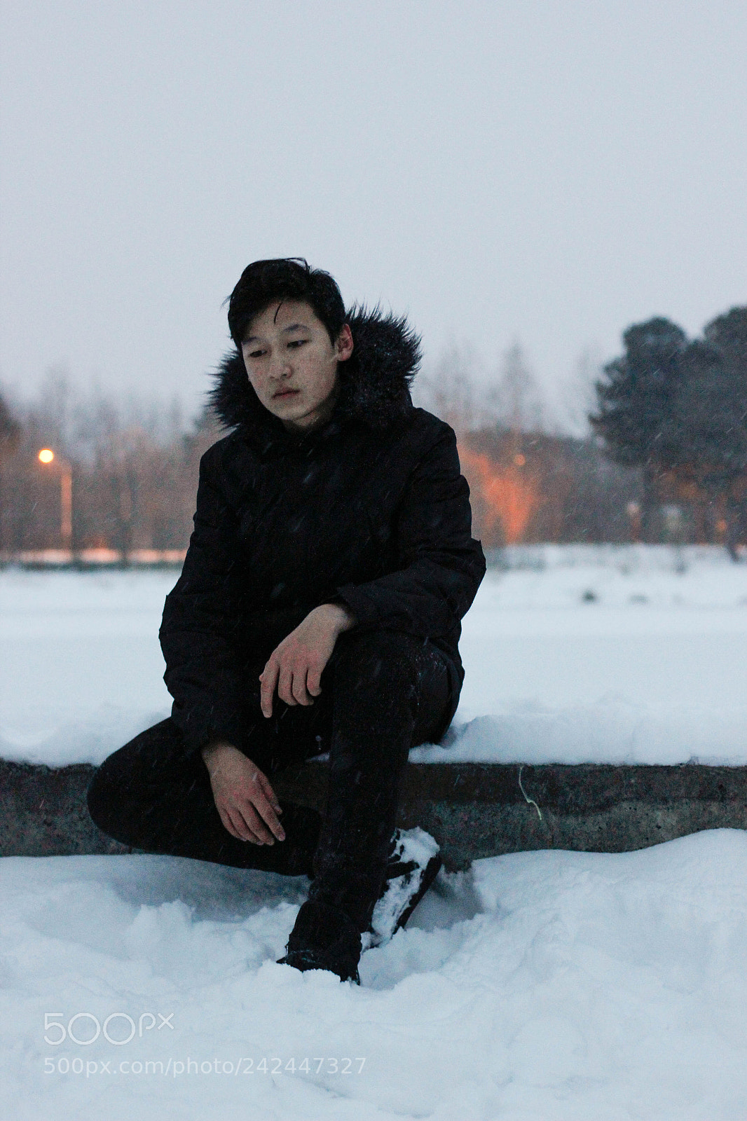 Canon EOS 550D (EOS Rebel T2i / EOS Kiss X4) sample photo. Winter sadness photography