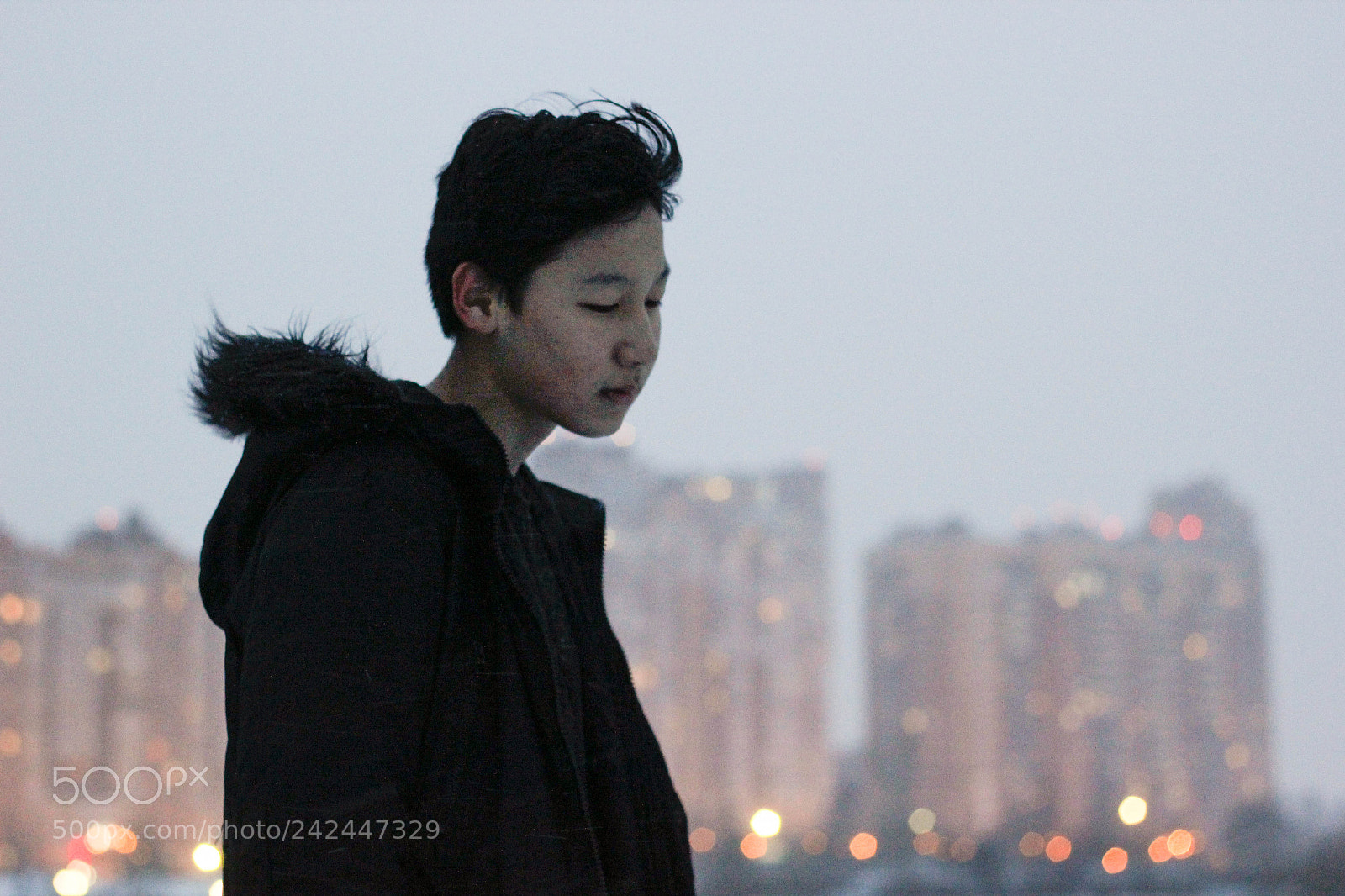 Canon EOS 550D (EOS Rebel T2i / EOS Kiss X4) sample photo. Winter sadness photography