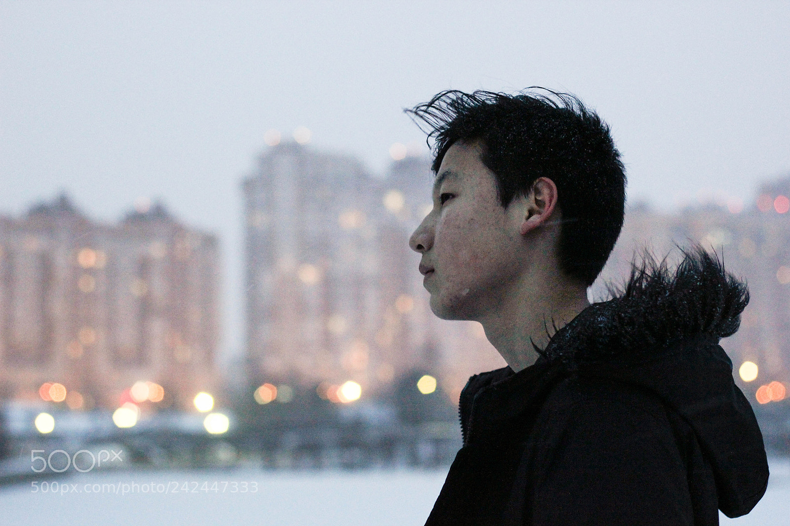Canon EOS 550D (EOS Rebel T2i / EOS Kiss X4) sample photo. Winter sadness photography