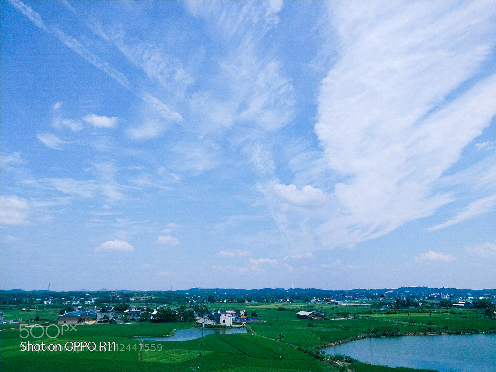 OPPO R11 sample photo. Untitled photography