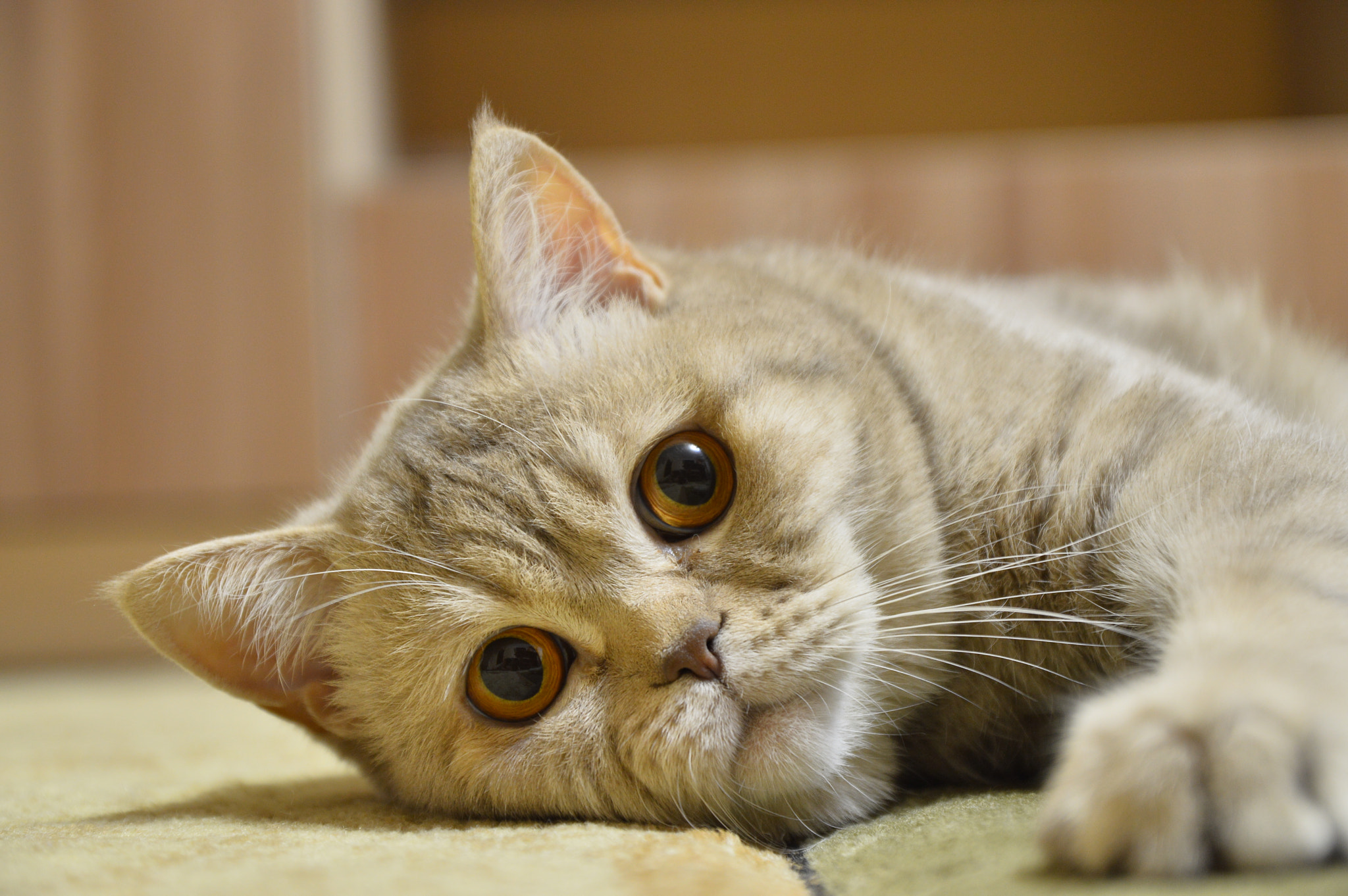 Nikon D3200 sample photo
