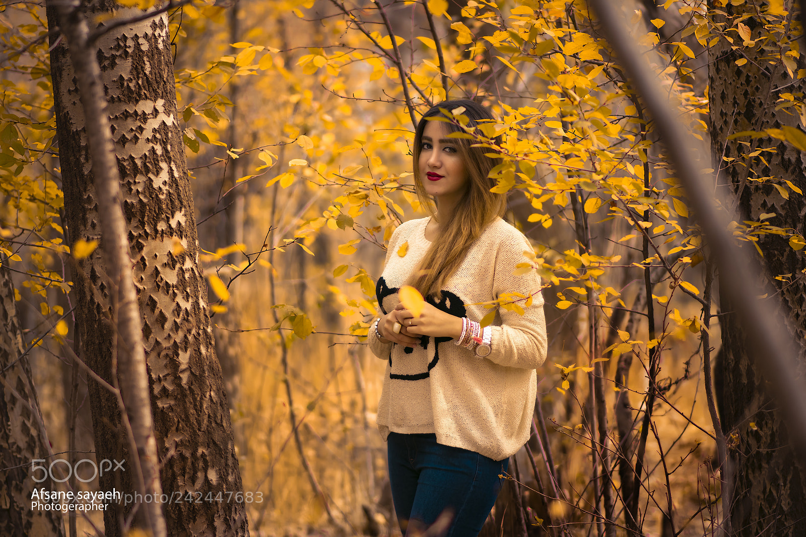 Nikon D7100 sample photo. Untitled photography