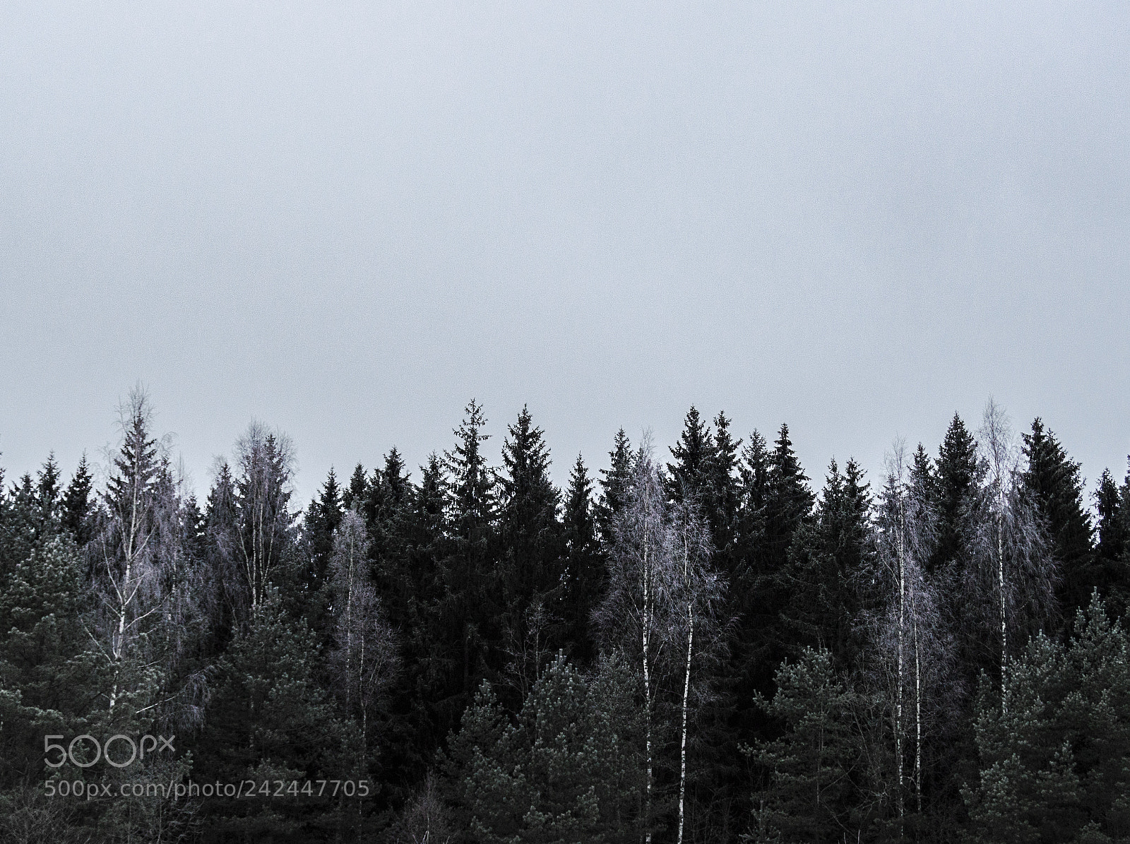 Nikon D3200 sample photo. Minimalistic photography
