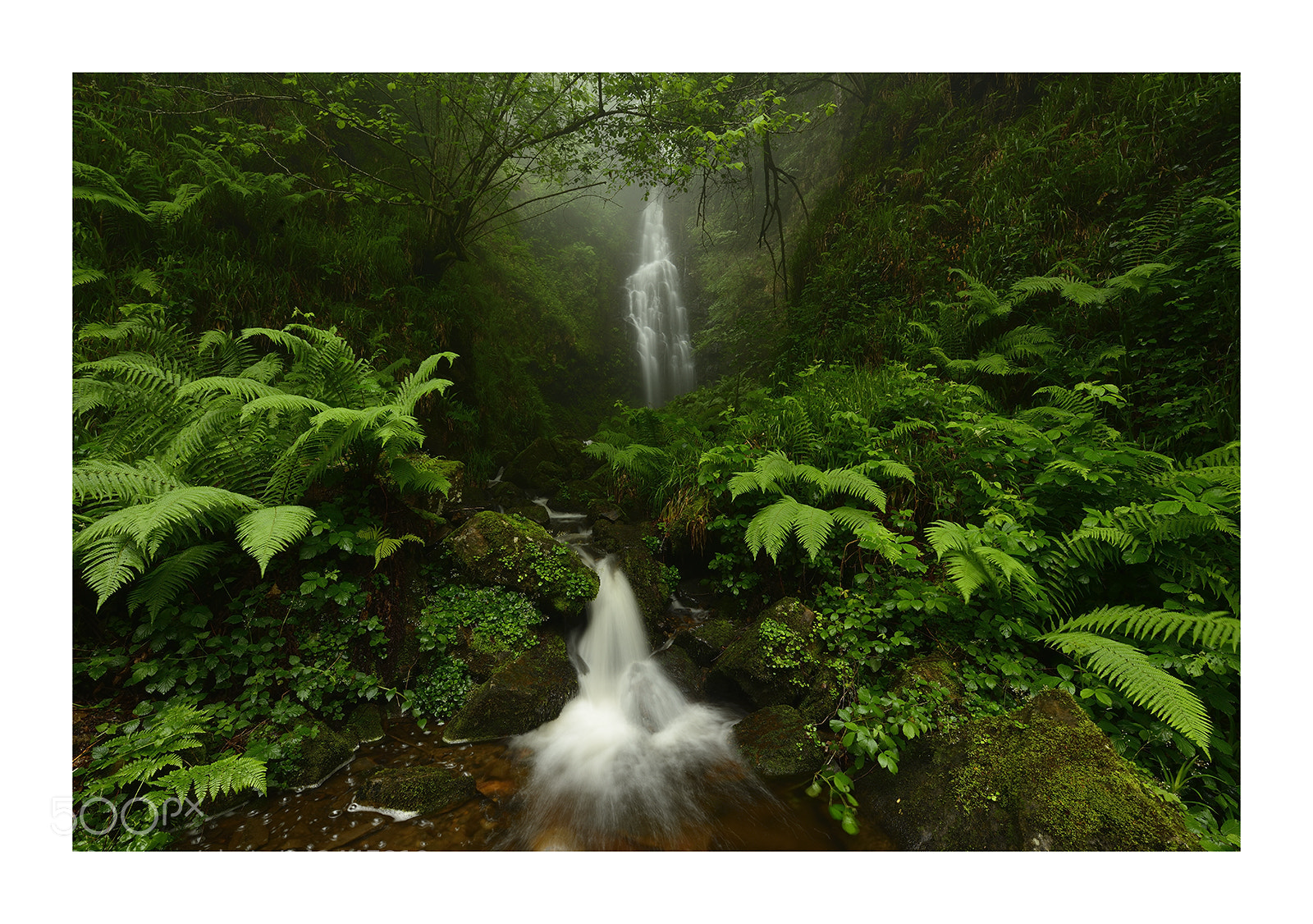 Nikon D800 sample photo. Oihanean barrena inside the photography