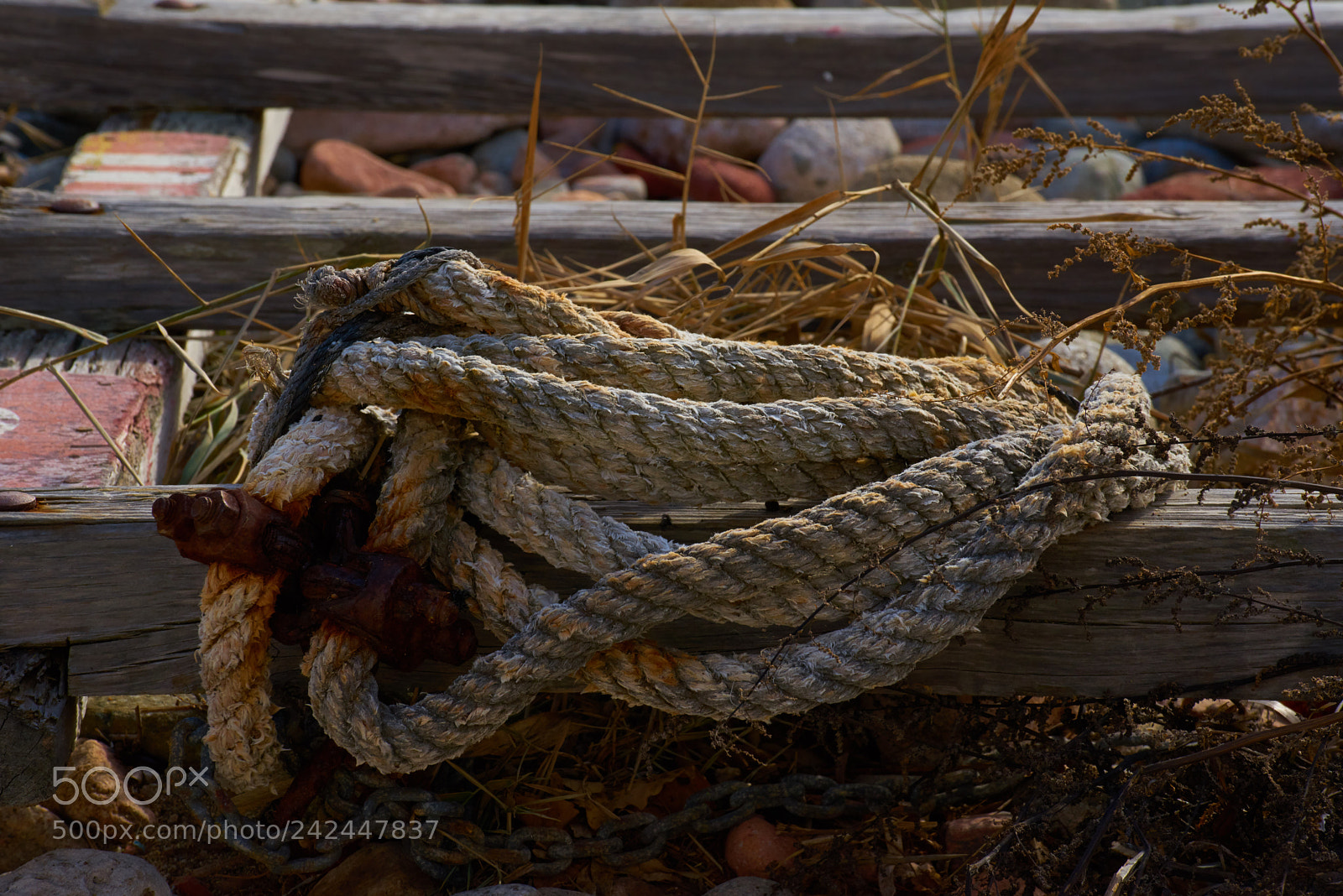 Sony a7R sample photo. Castell de palamos photography