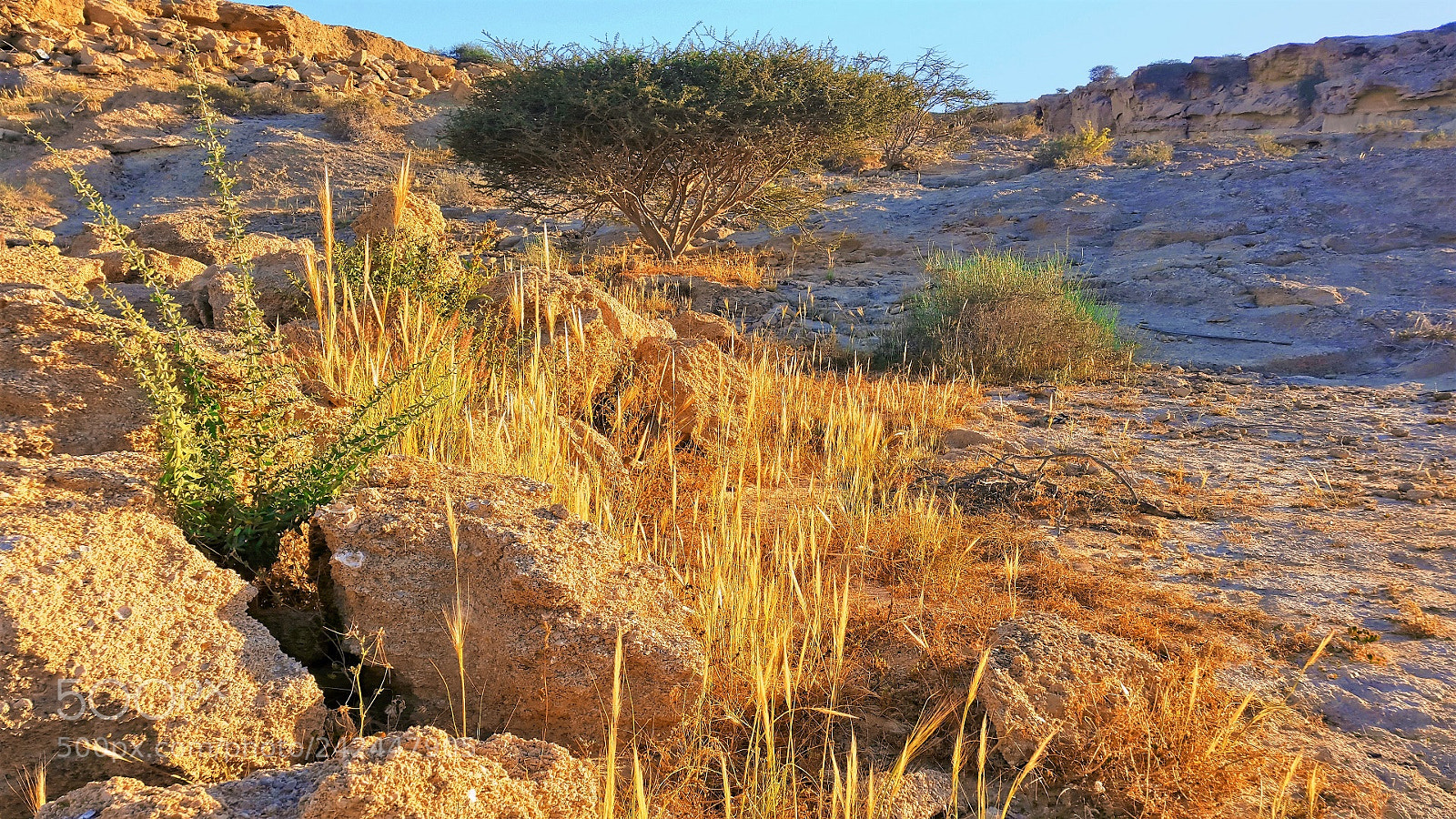 Samsung Galaxy S5 sample photo. Haftrangoo qeshm photography