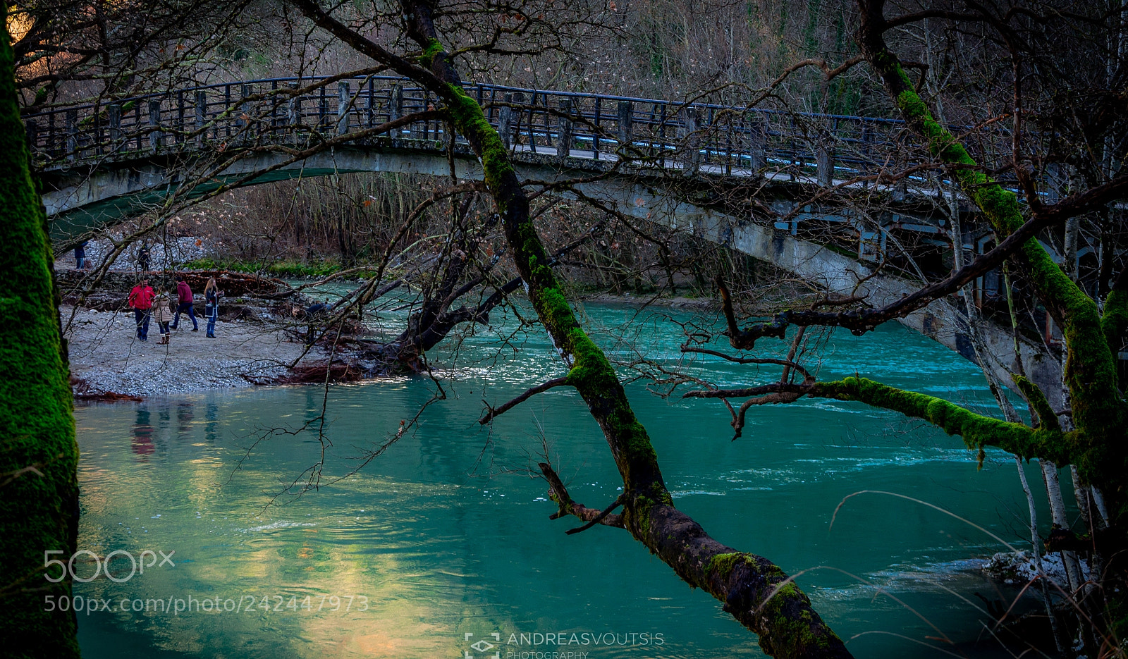 Nikon D5100 sample photo. Beauty of elements photography