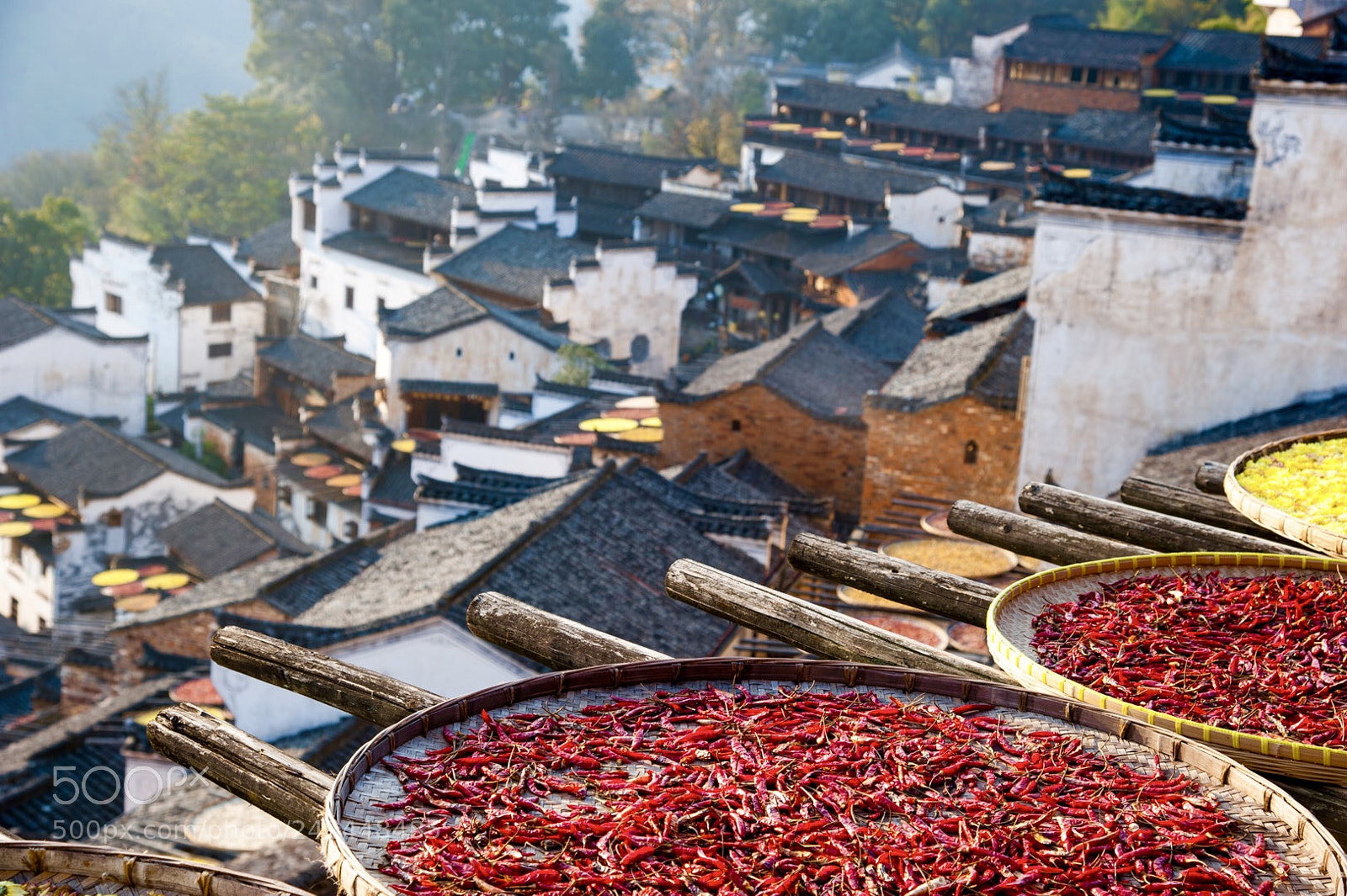 Nikon D700 sample photo. Wuyuan, jiangxi, china 江西婺源 photography