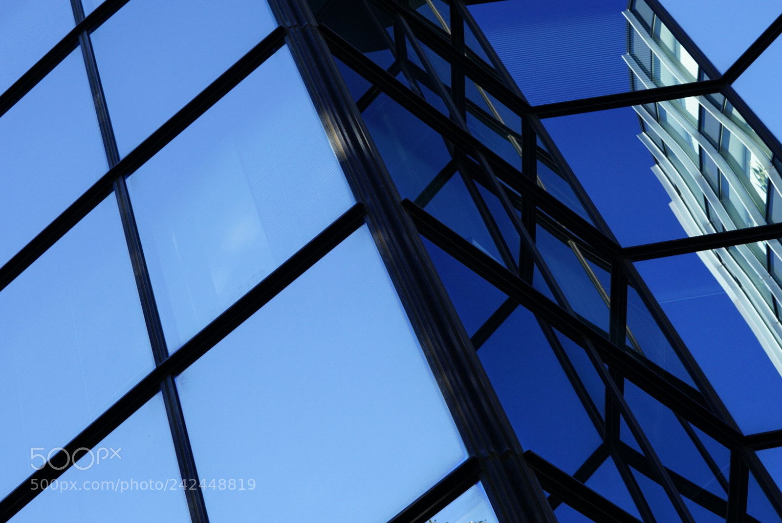 Sony a7 II sample photo. Like stained glass photography