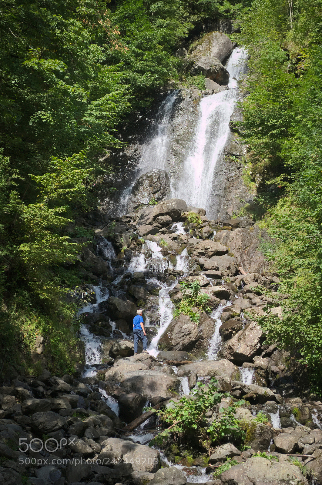 Nikon D3100 sample photo. Milky waterfall photography