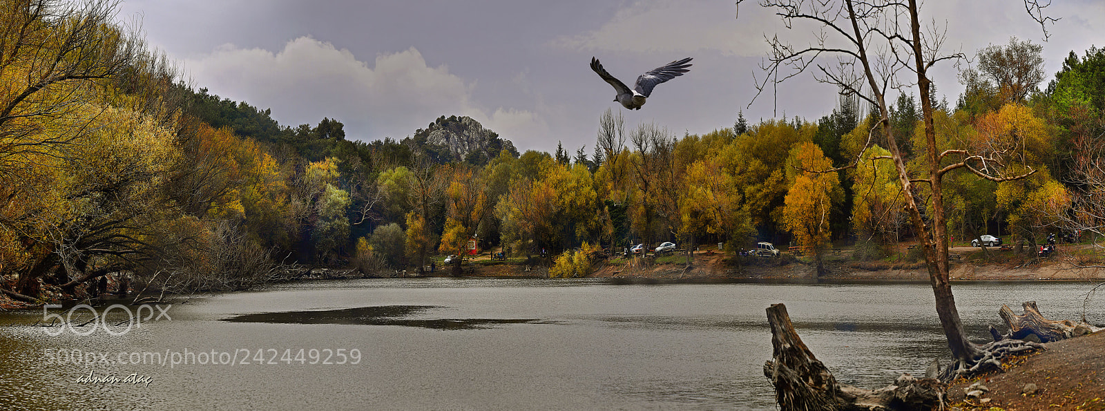 Nikon D5 sample photo. Karag l ve karga photography