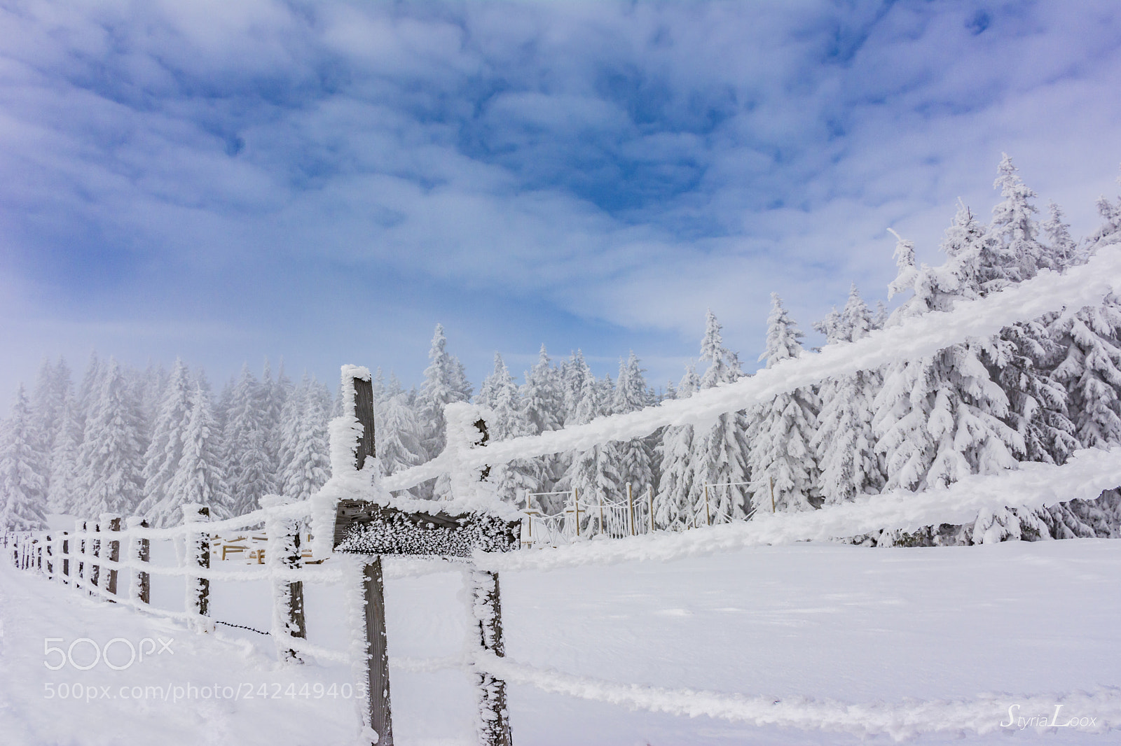 Nikon D7100 sample photo. Frozen playground photography