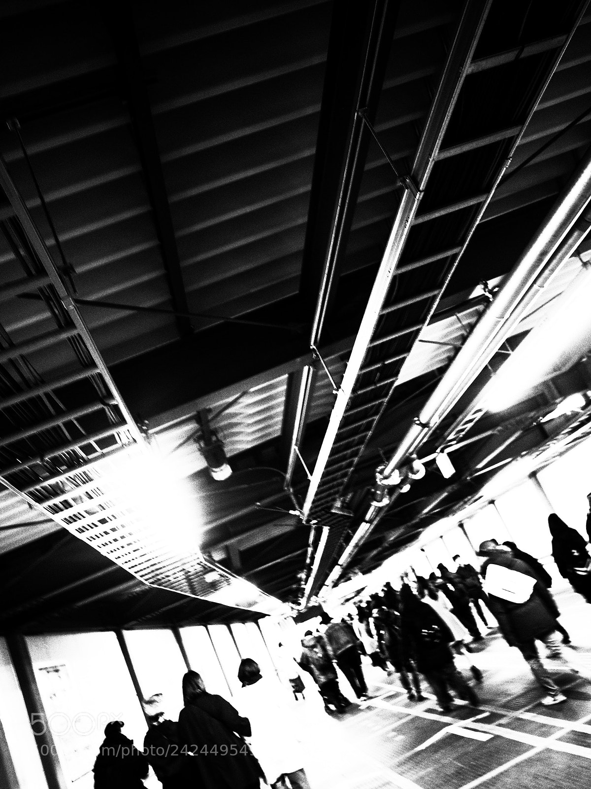 Ricoh GR II sample photo. Untitled photography